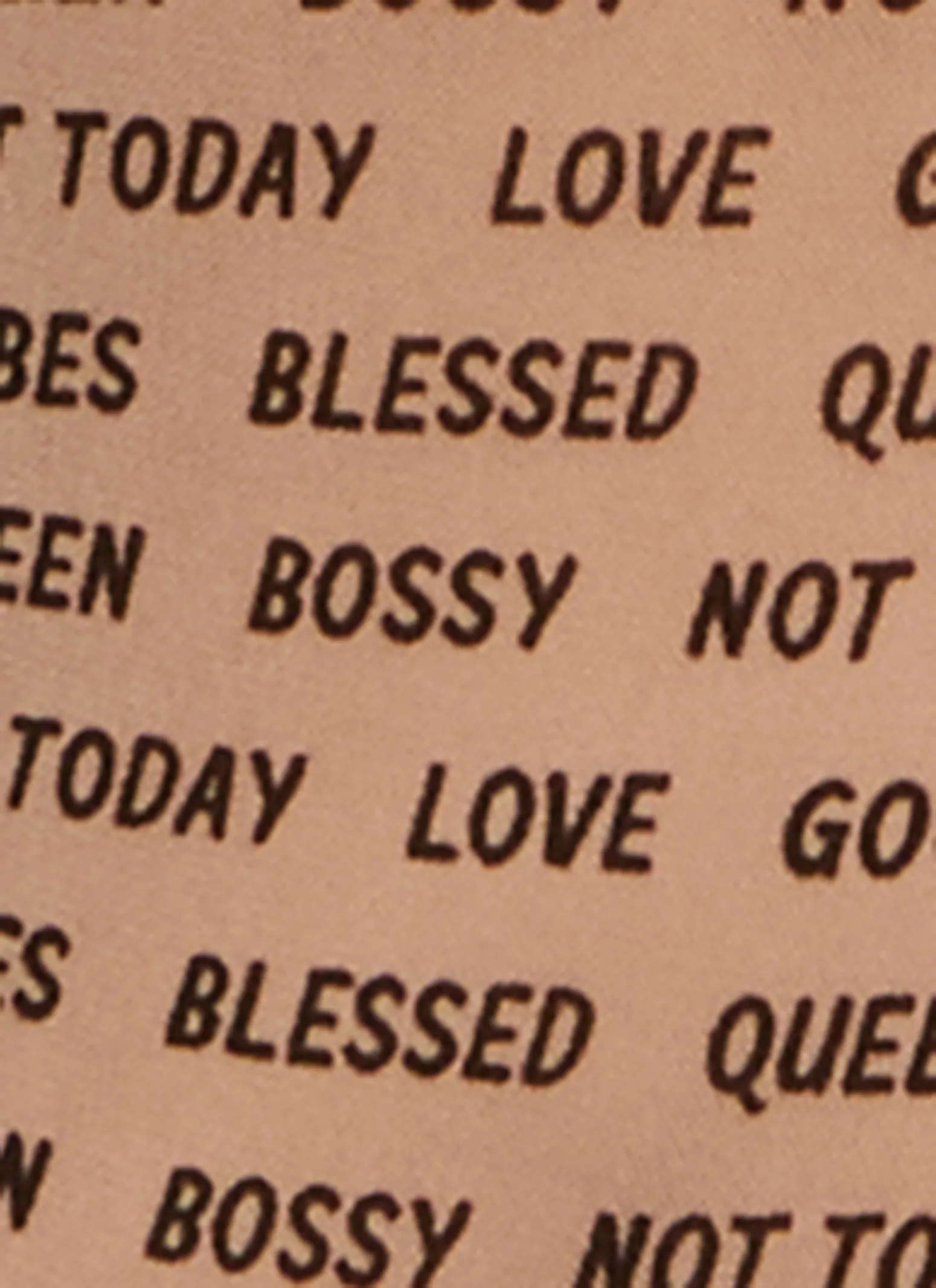 Plus Size Mesh Velvet Burnout Sleeveless Graphic Bodysuit sold by Rainbow product image thumbnail 4