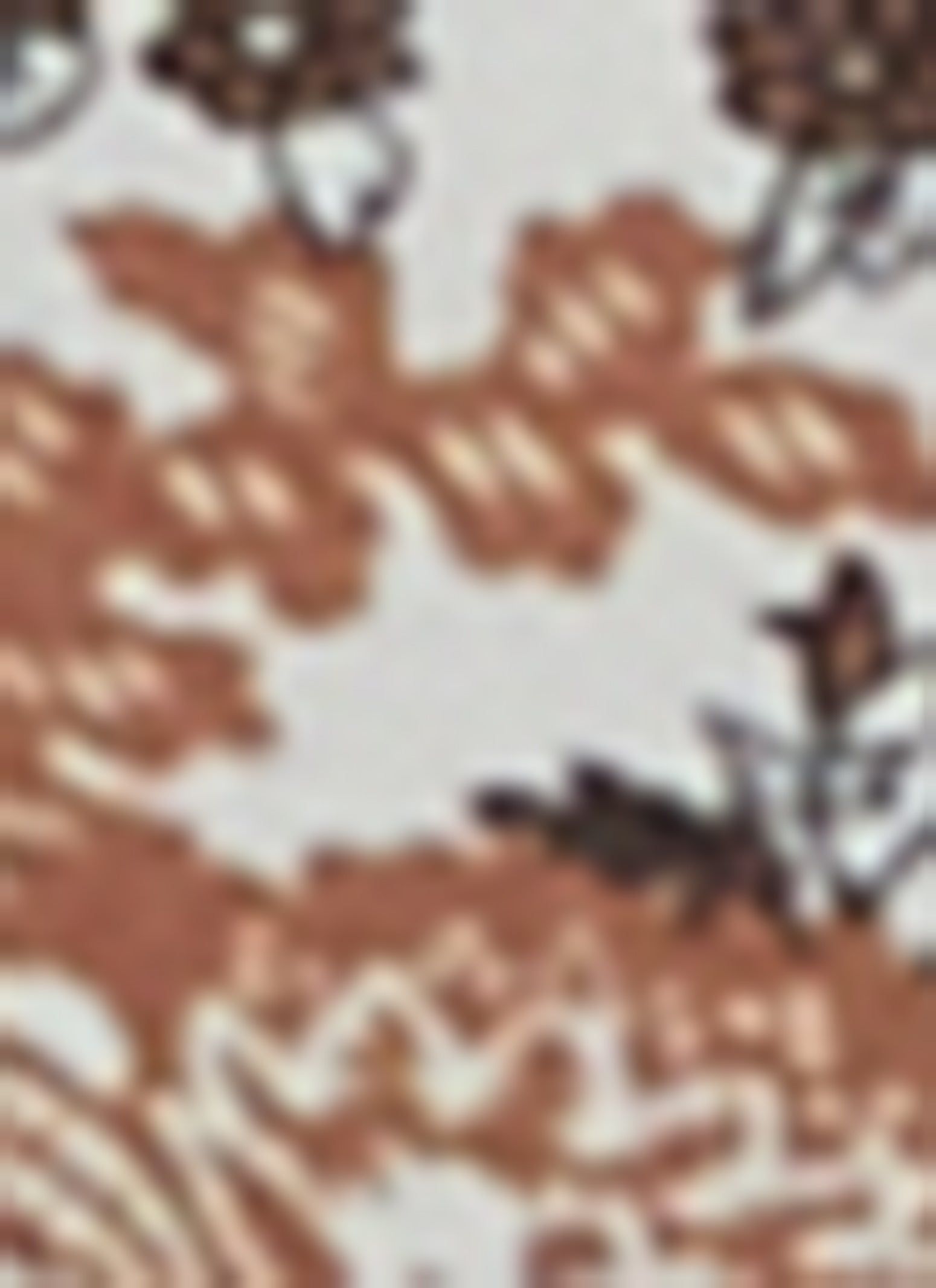 Boho Border Print Flare Pants sold by Rainbow product image thumbnail 3