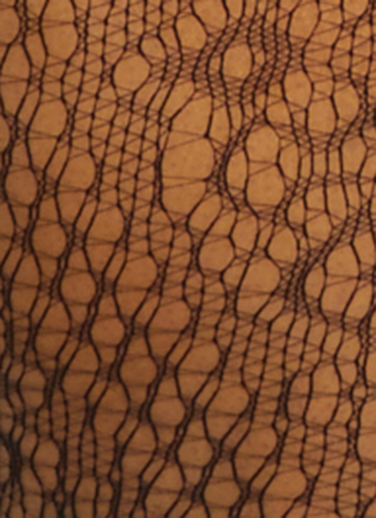 Plus Size Patterned Fishnet Tights sold by Rainbow product image thumbnail 3