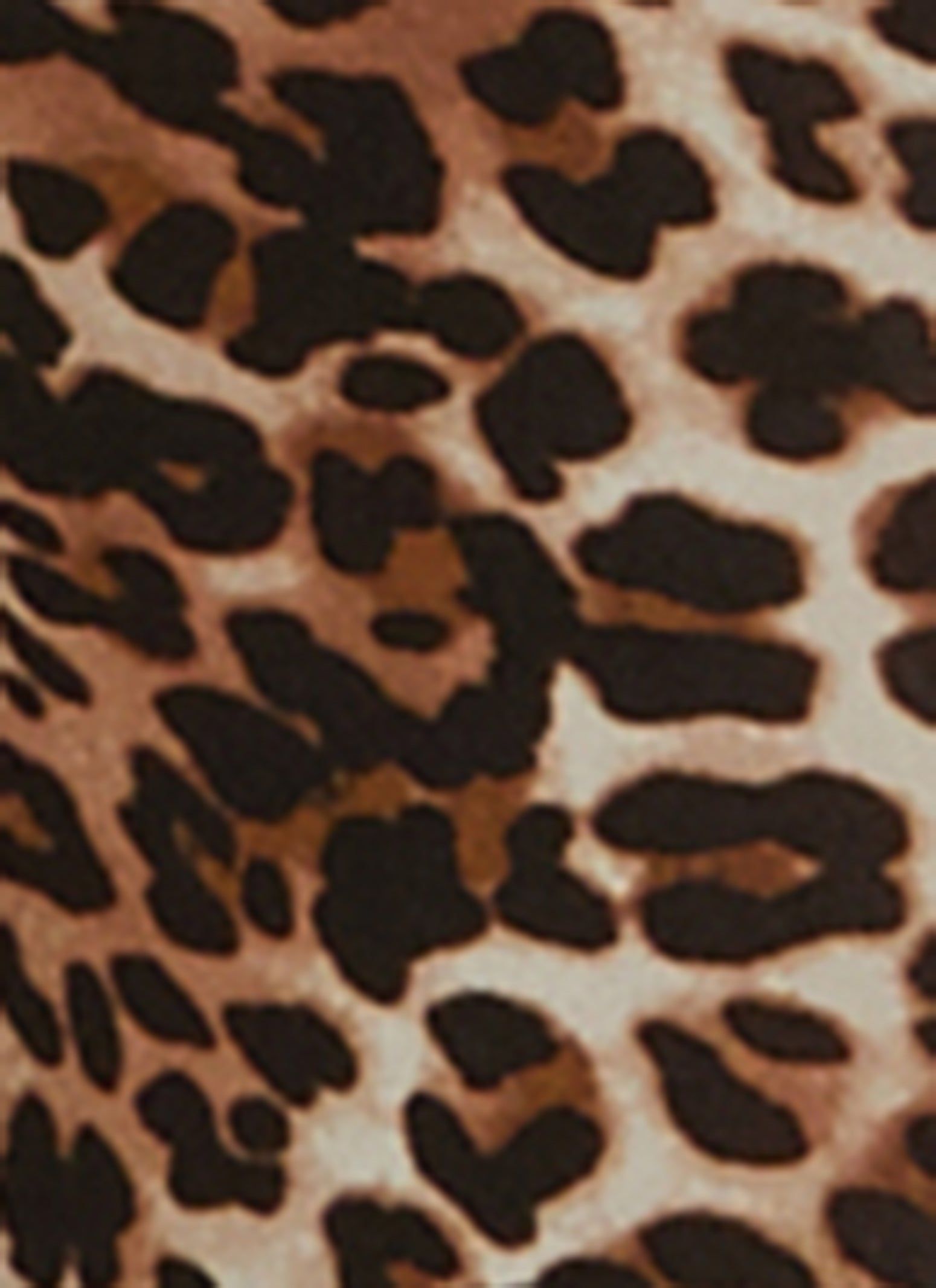 Animal Print Ruched Front Flare Leg Pants sold by Rainbow product image thumbnail 3