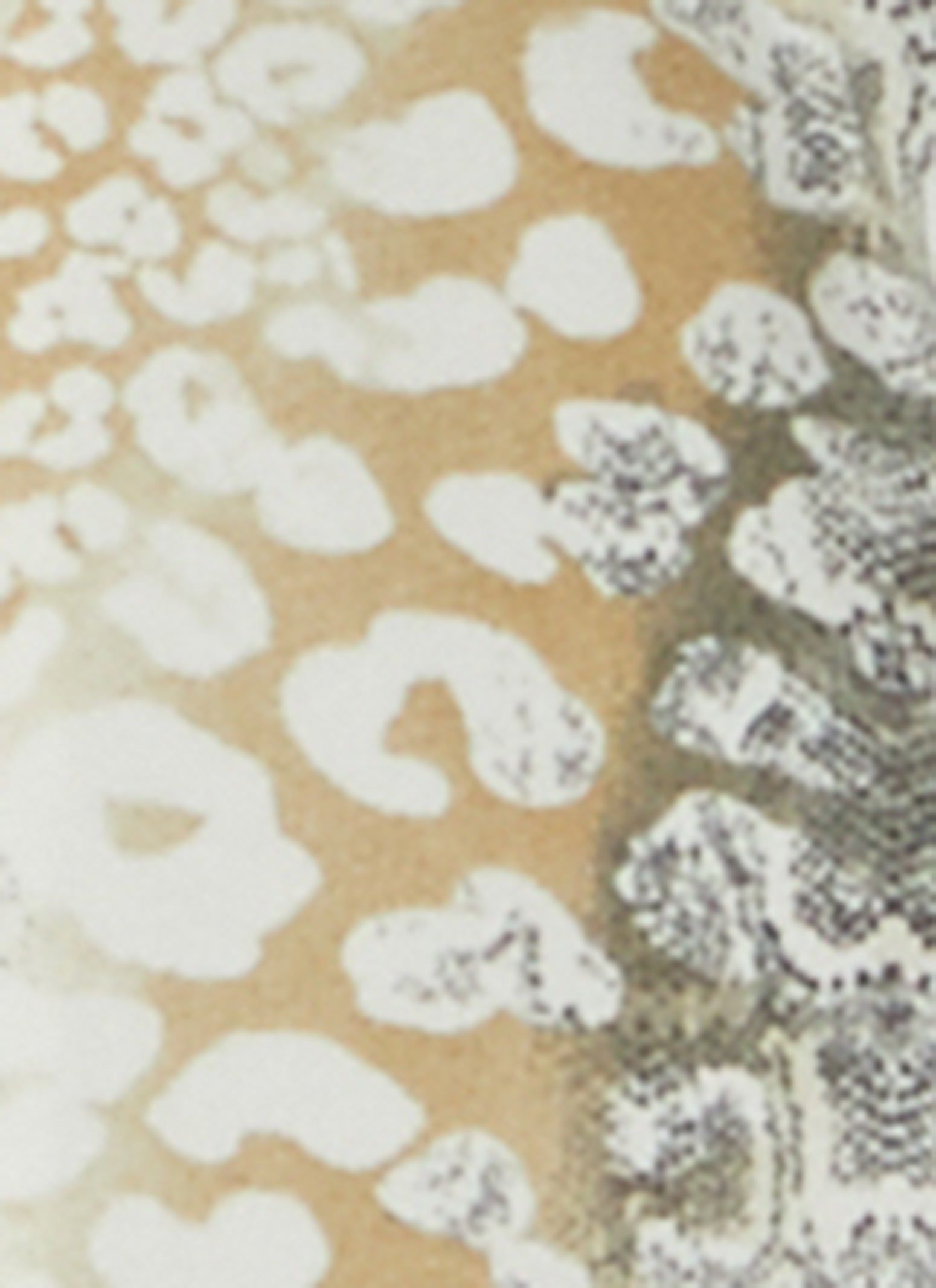 Animal Print Pajama Shirt and Shorts sold by Rainbow product image thumbnail 3