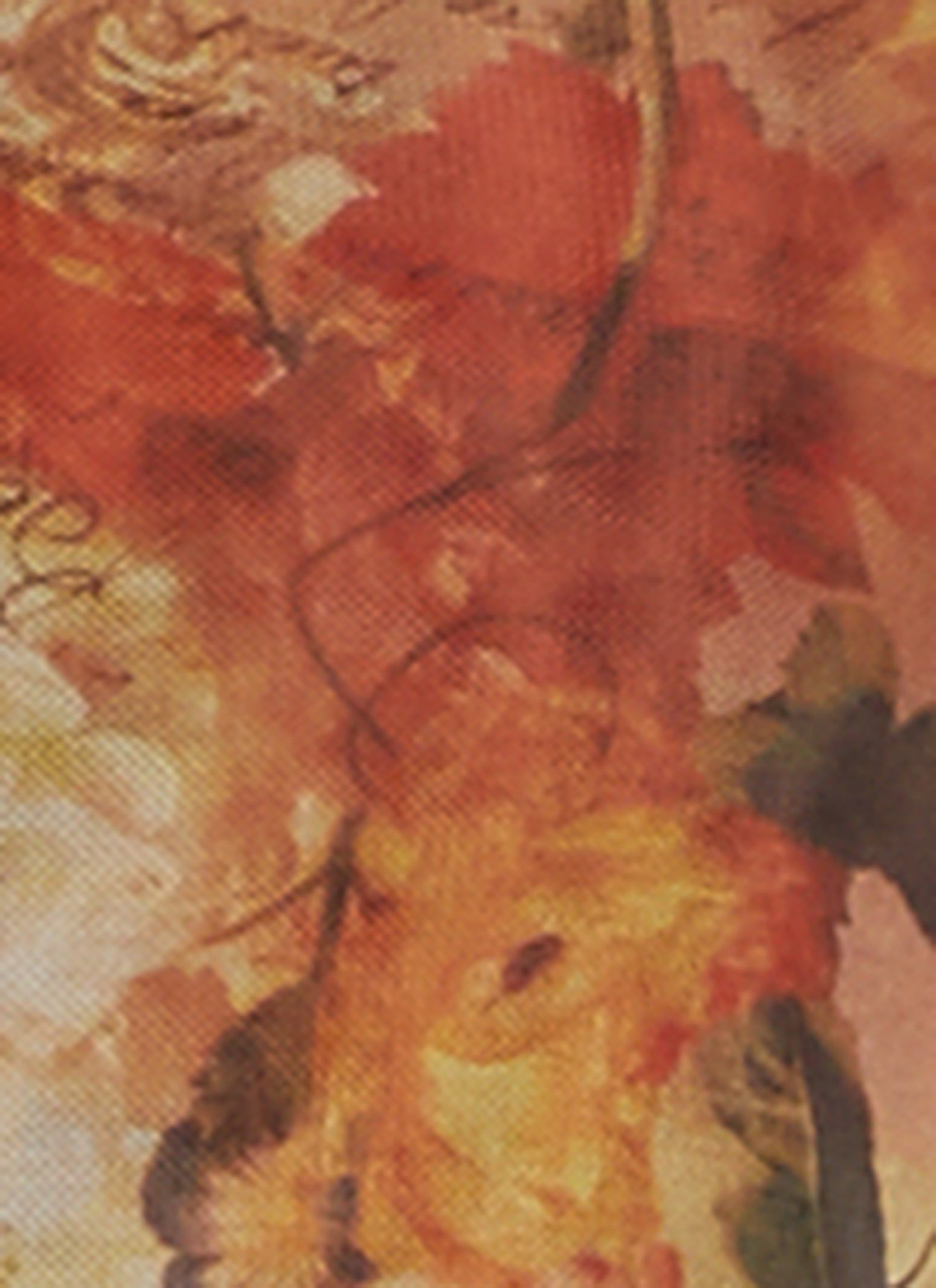 Mesh Printed Long Sleeve Top sold by Rainbow product image thumbnail 3