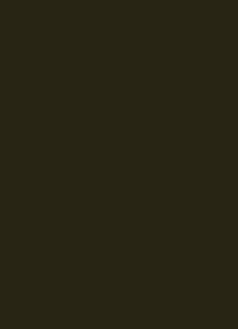 Faux Leather High Waist Cargo Pants sold by Rainbow