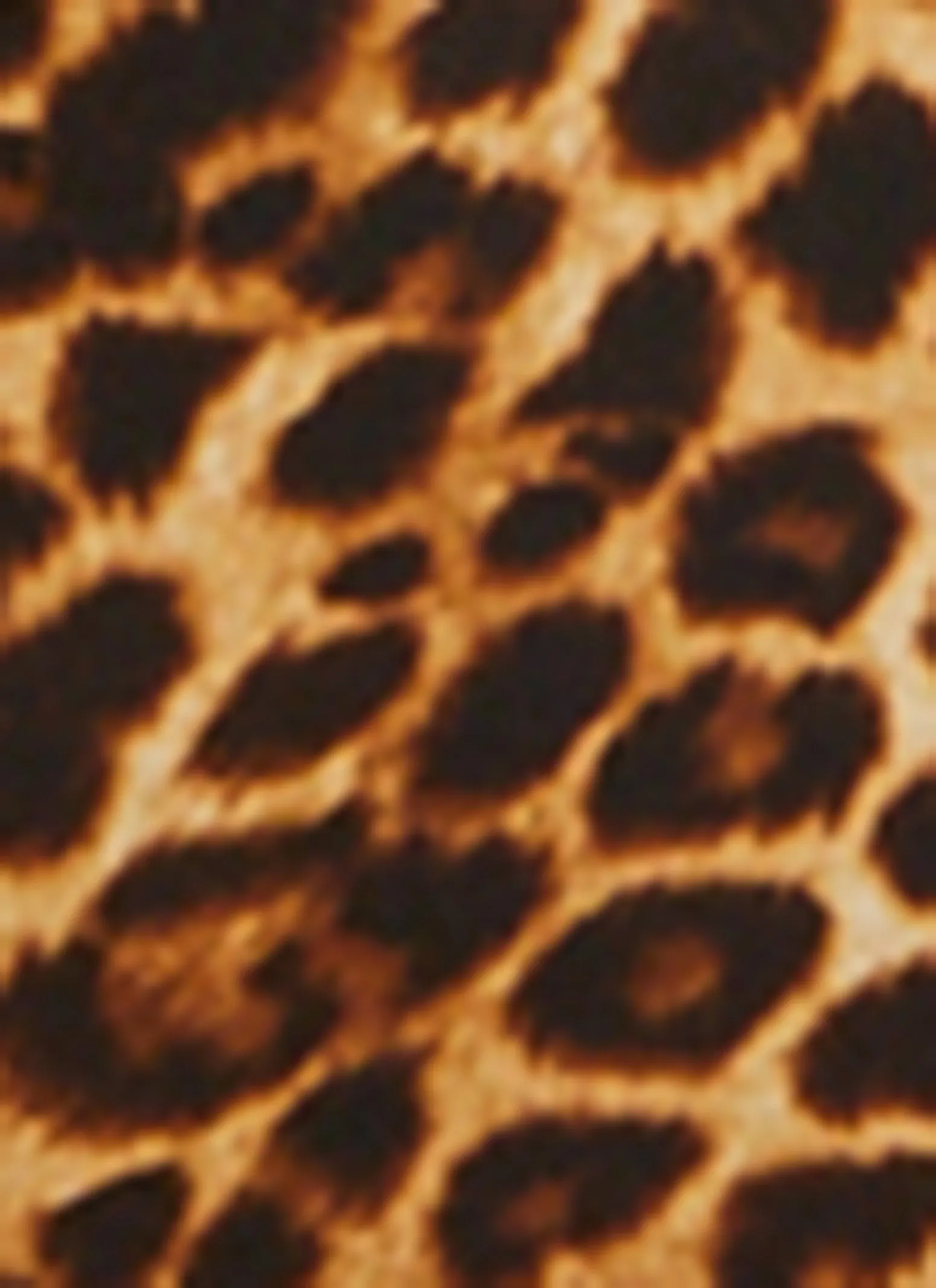 Leopard Print High Waist Pants sold by Rainbow product image thumbnail 4