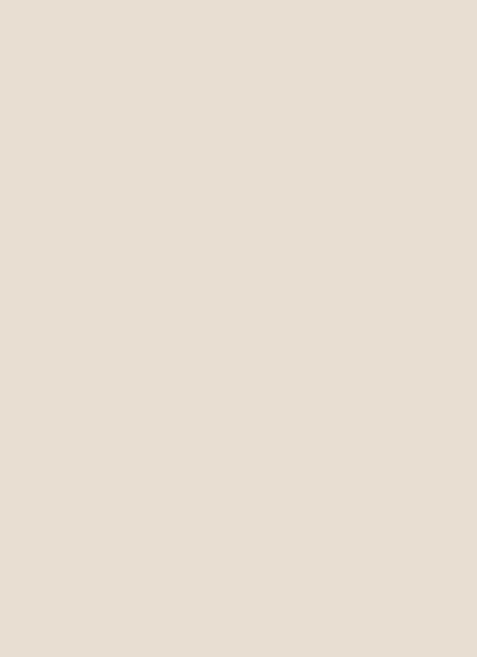 Twill Straight Leg Cargo Pants sold by Rainbow product image thumbnail 4