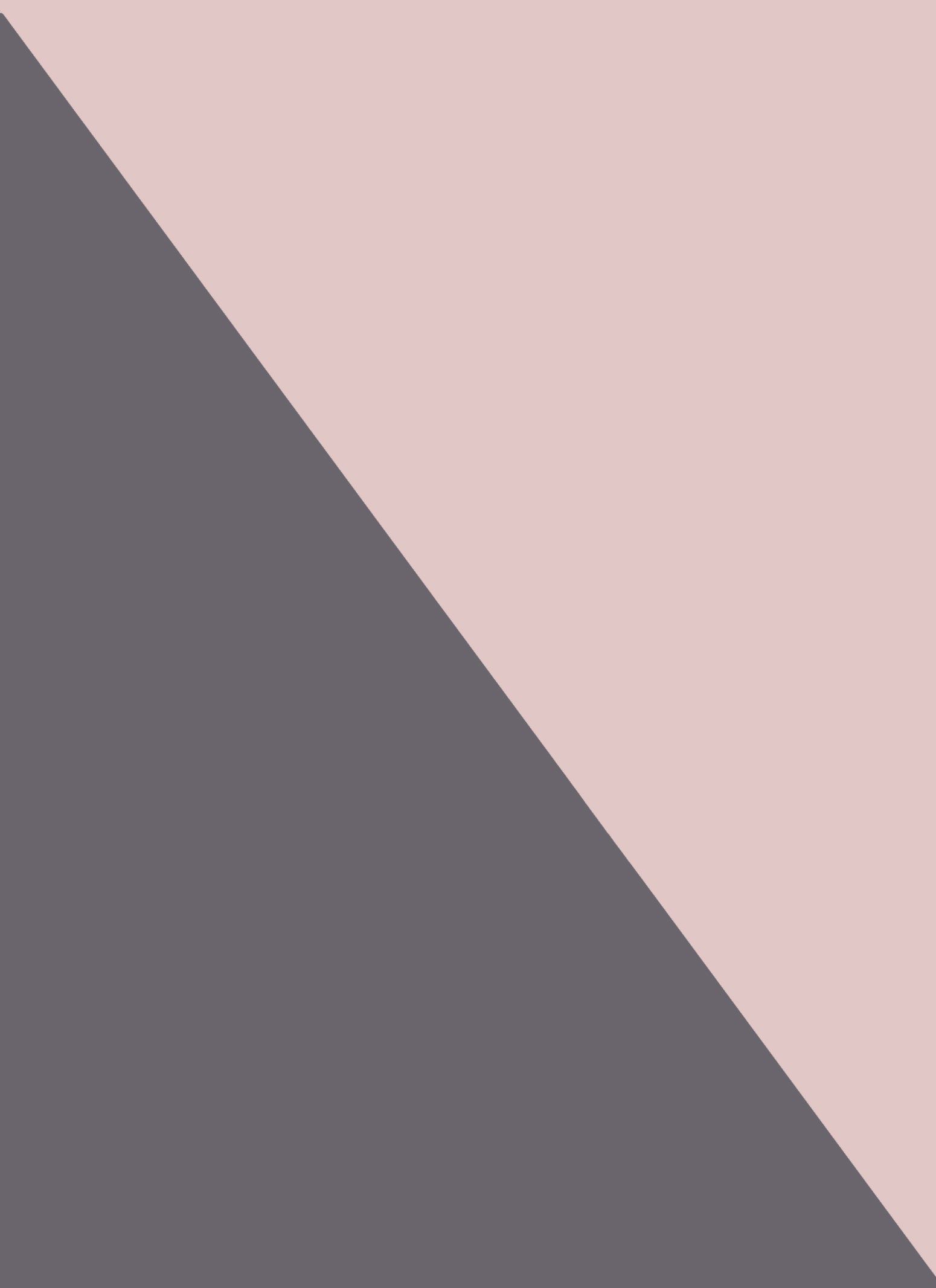 Plus Size Lace Trim Comfort Bra 2 Pack sold by Rainbow product image thumbnail 3