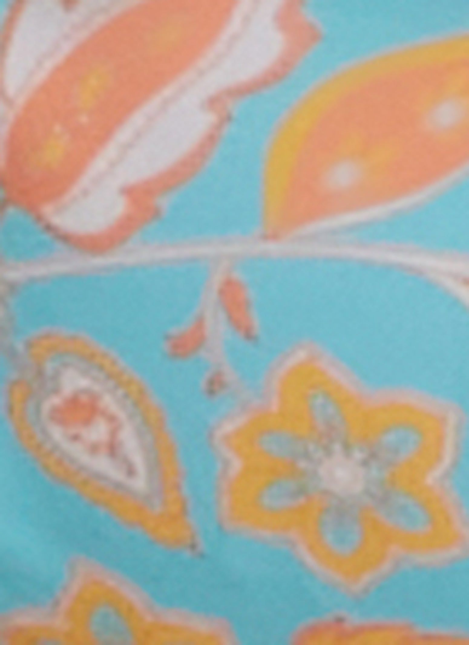 Paisley Ruffle Tie Side Bikini Bottoms sold by Rainbow product image thumbnail 3