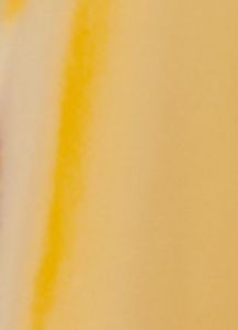 Sicura Vive Feliz Dorado Perfume sold by Rainbow