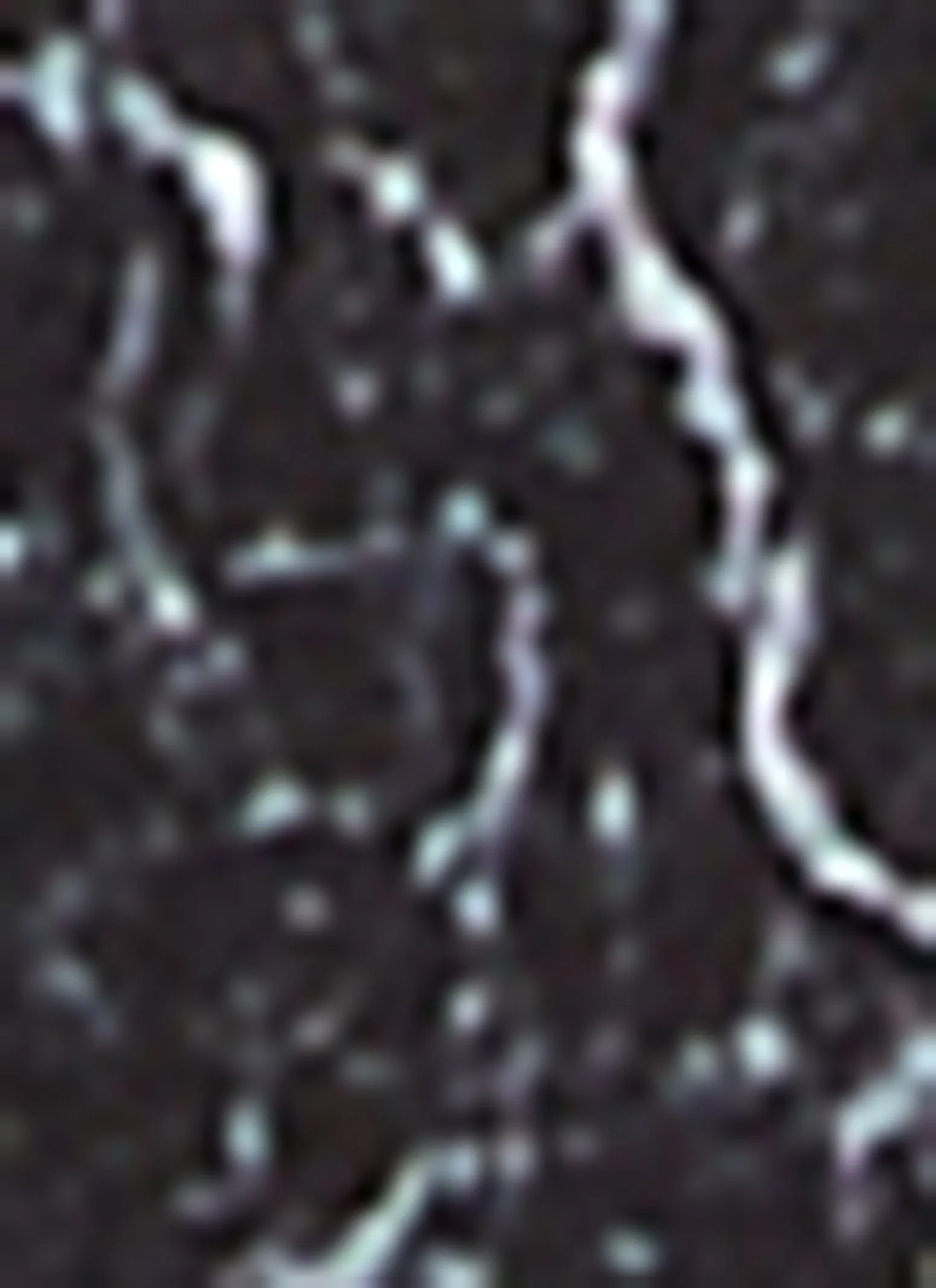 Mens Mushroom Magic Graphic T Shirt sold by Rainbow product image thumbnail 4