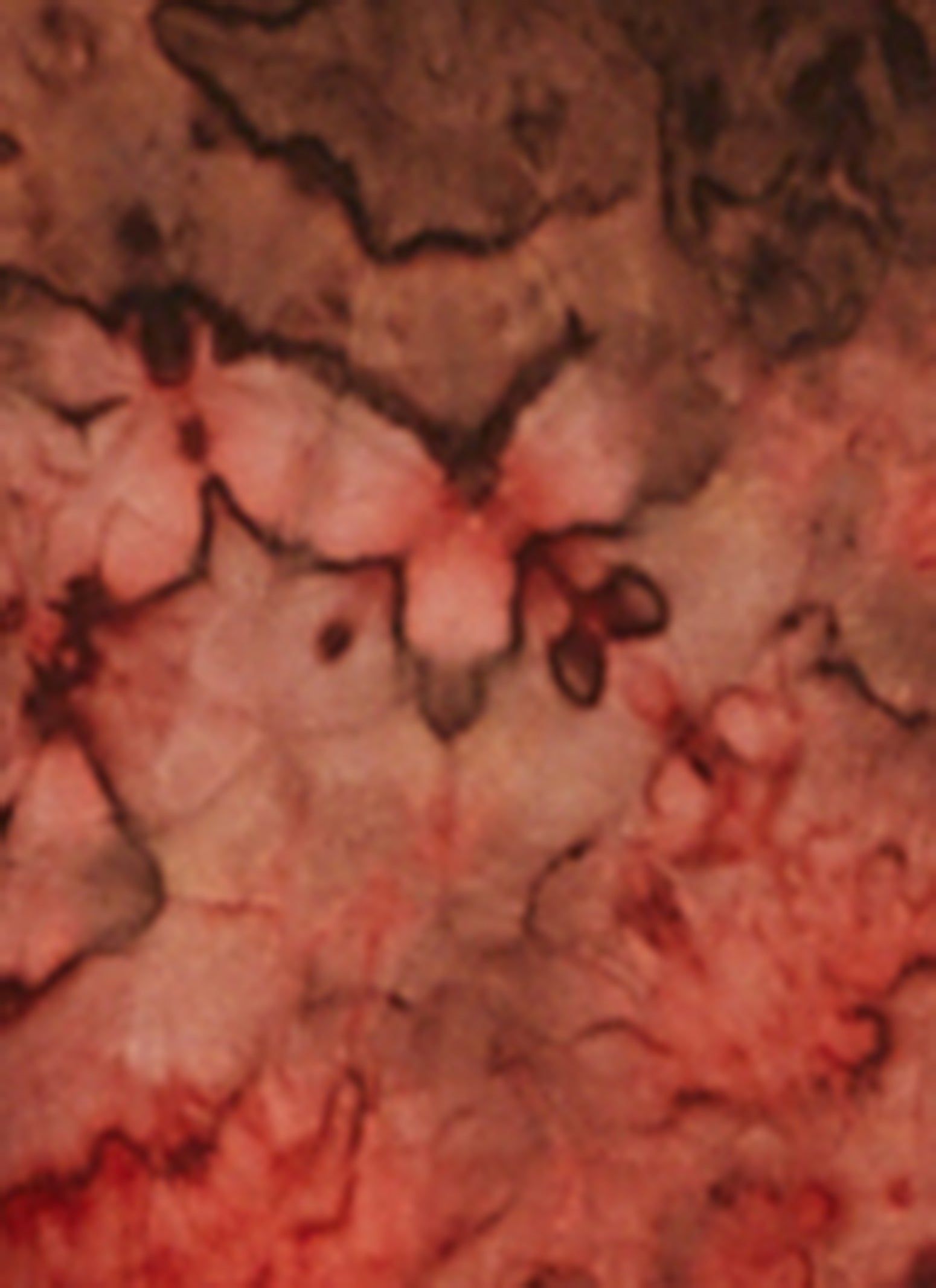 Tie Dye Long Sleeve Pajama Top and Pants Set sold by Rainbow product image thumbnail 4