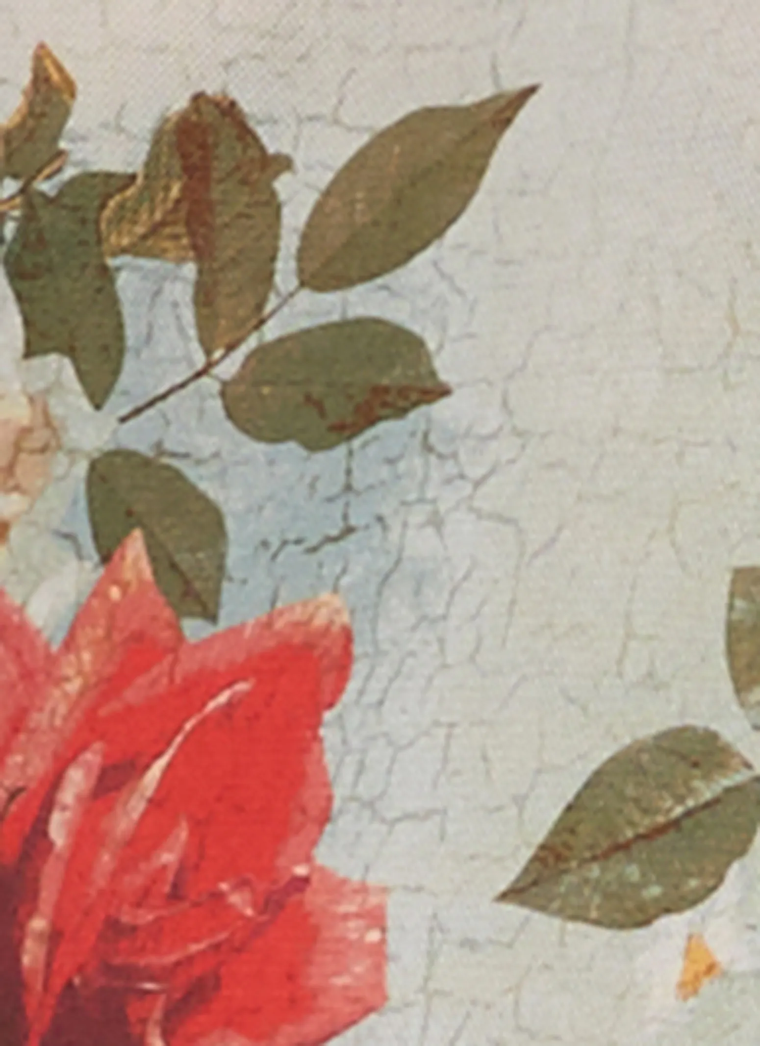 Mesh Printed Long Sleeve Bodysuit sold by Rainbow product image thumbnail 4