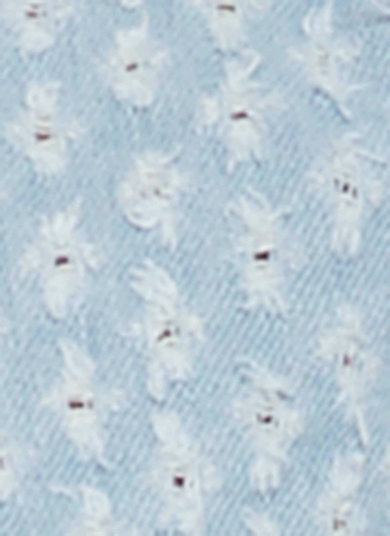 Distressed Denim Bolero Jacket sold by Rainbow product image thumbnail 3