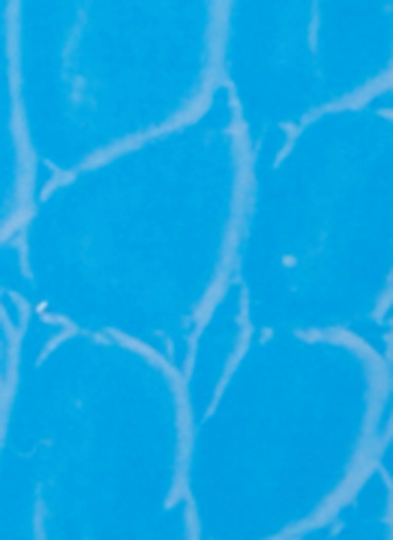 Sicura Ocean Bleu Cologne sold by Rainbow product image thumbnail 4