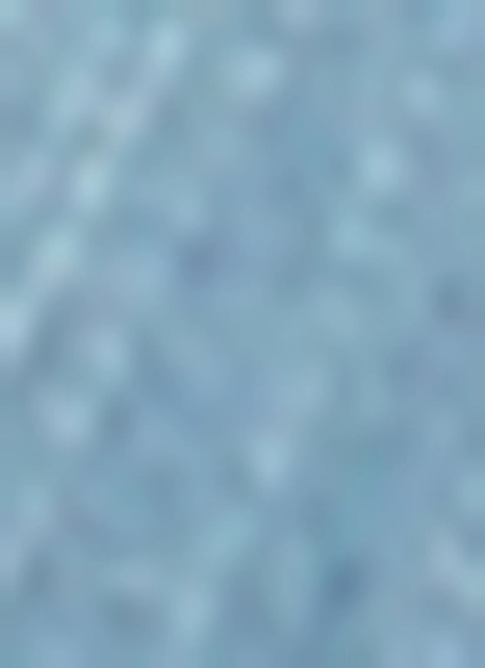 Haute Monde Denim Bralette sold by Rainbow product image thumbnail 4