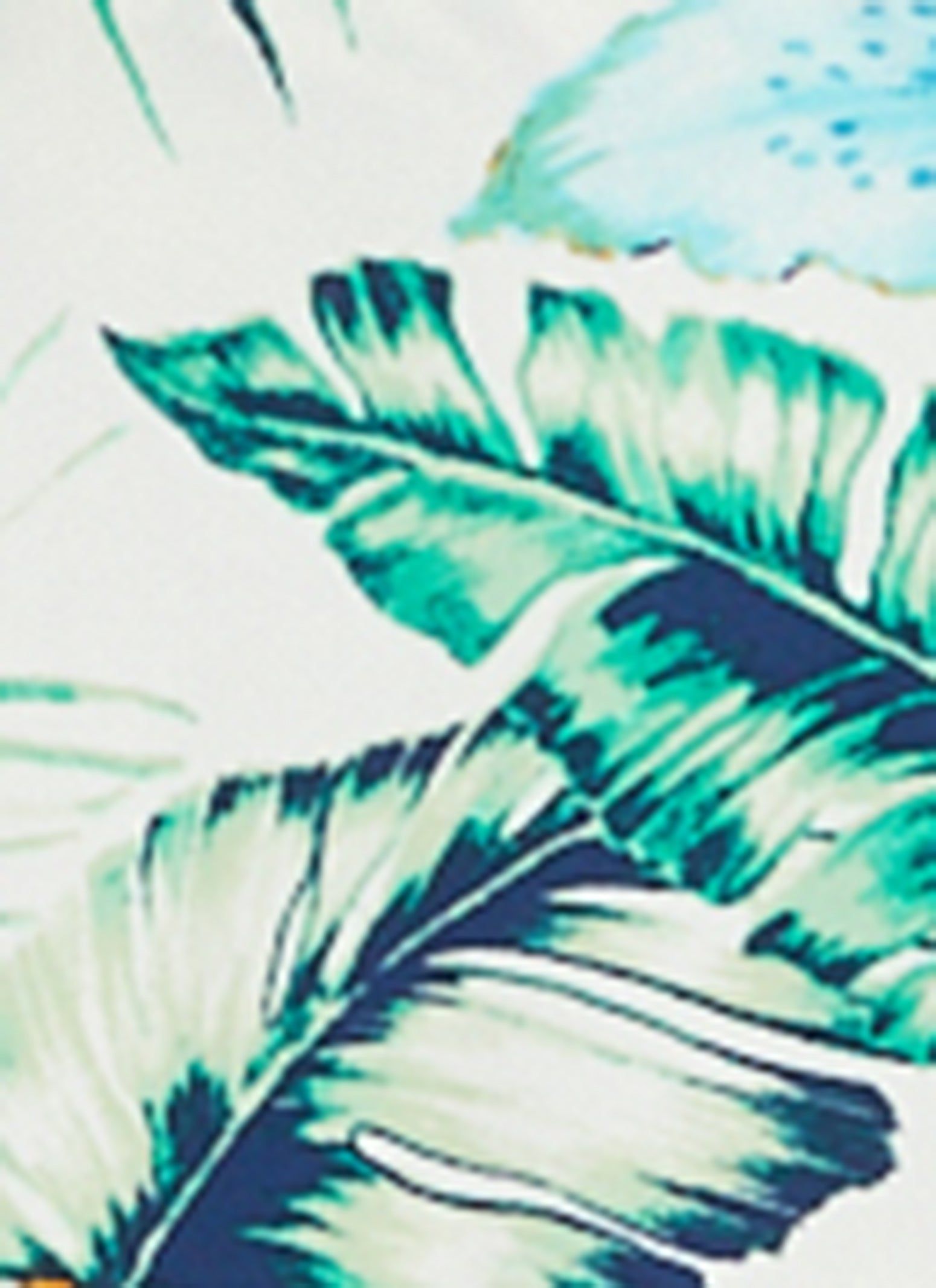 Iris Tropical Print Lace Up Front Maxi Dress sold by Rainbow product image thumbnail 4