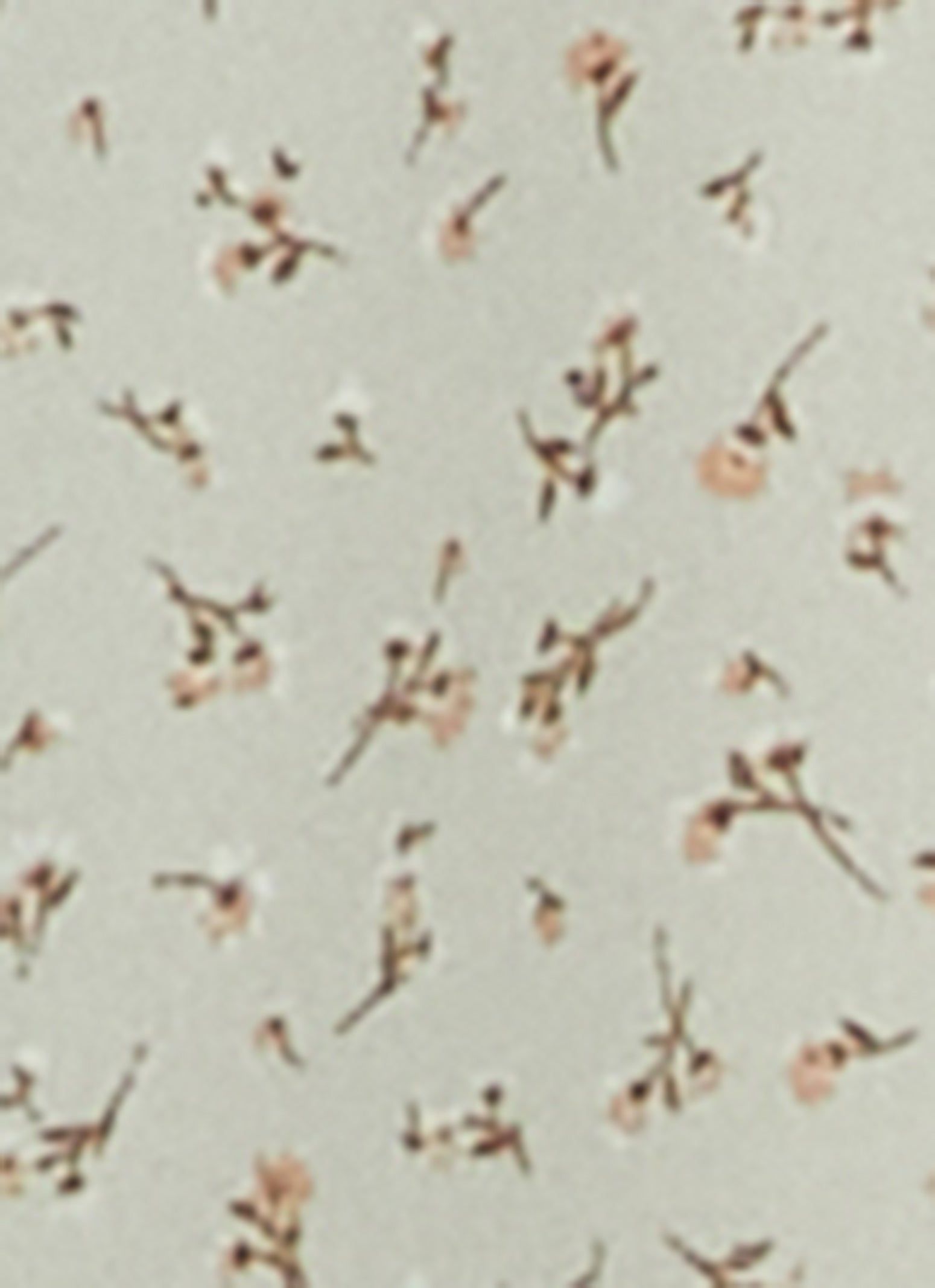 Floral Print Flutter Sleeve Tie Neck Blouse sold by Rainbow product image thumbnail 3