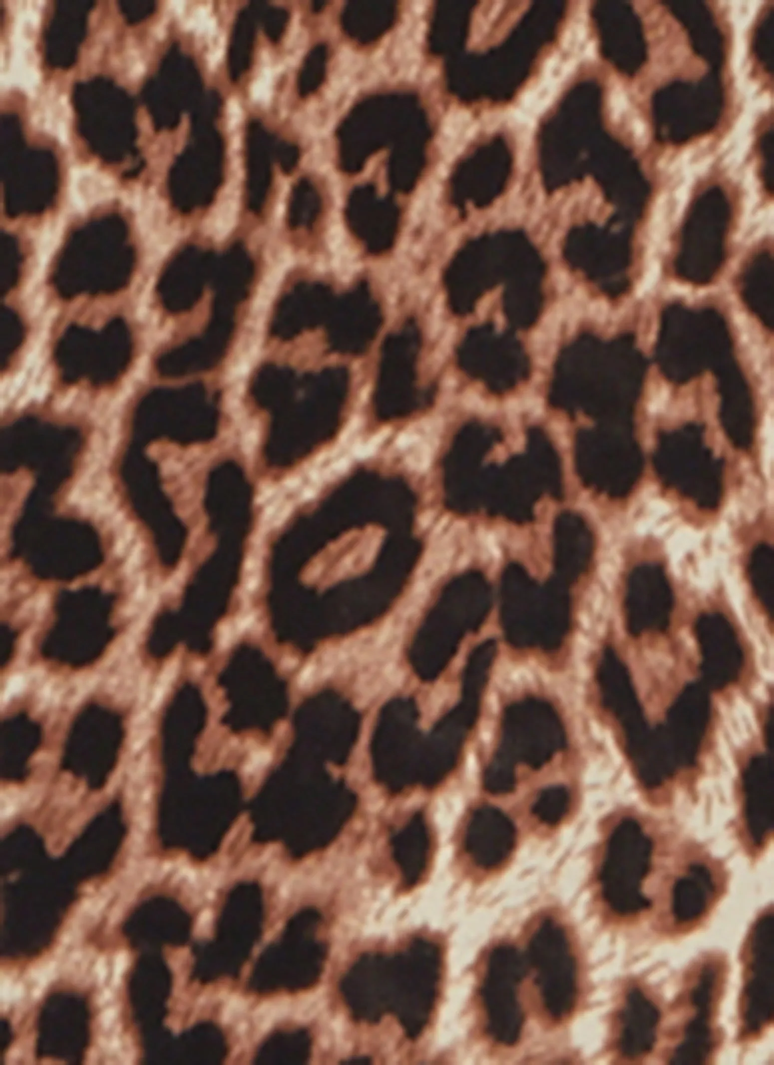 Animal Print Ruched Waist Plunge Maxi Dress sold by Rainbow product image thumbnail 4