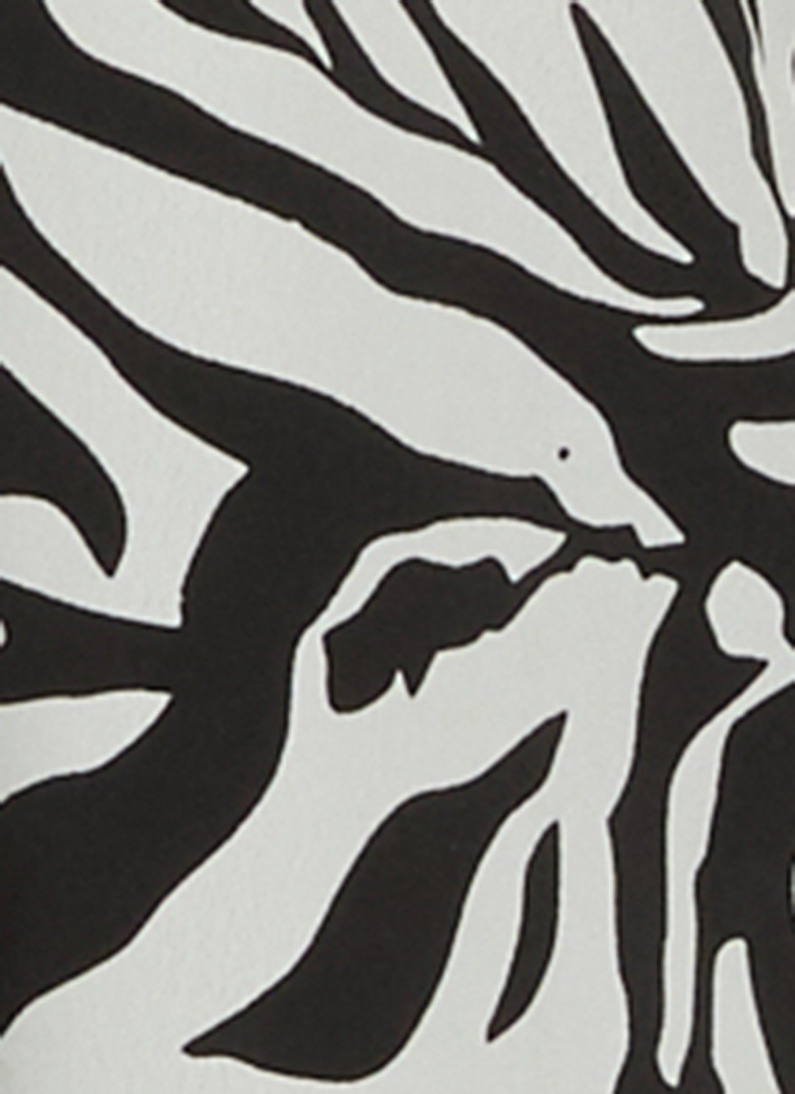 Plus Size Zebra Print Button Front Shirt sold by Rainbow product image thumbnail 3