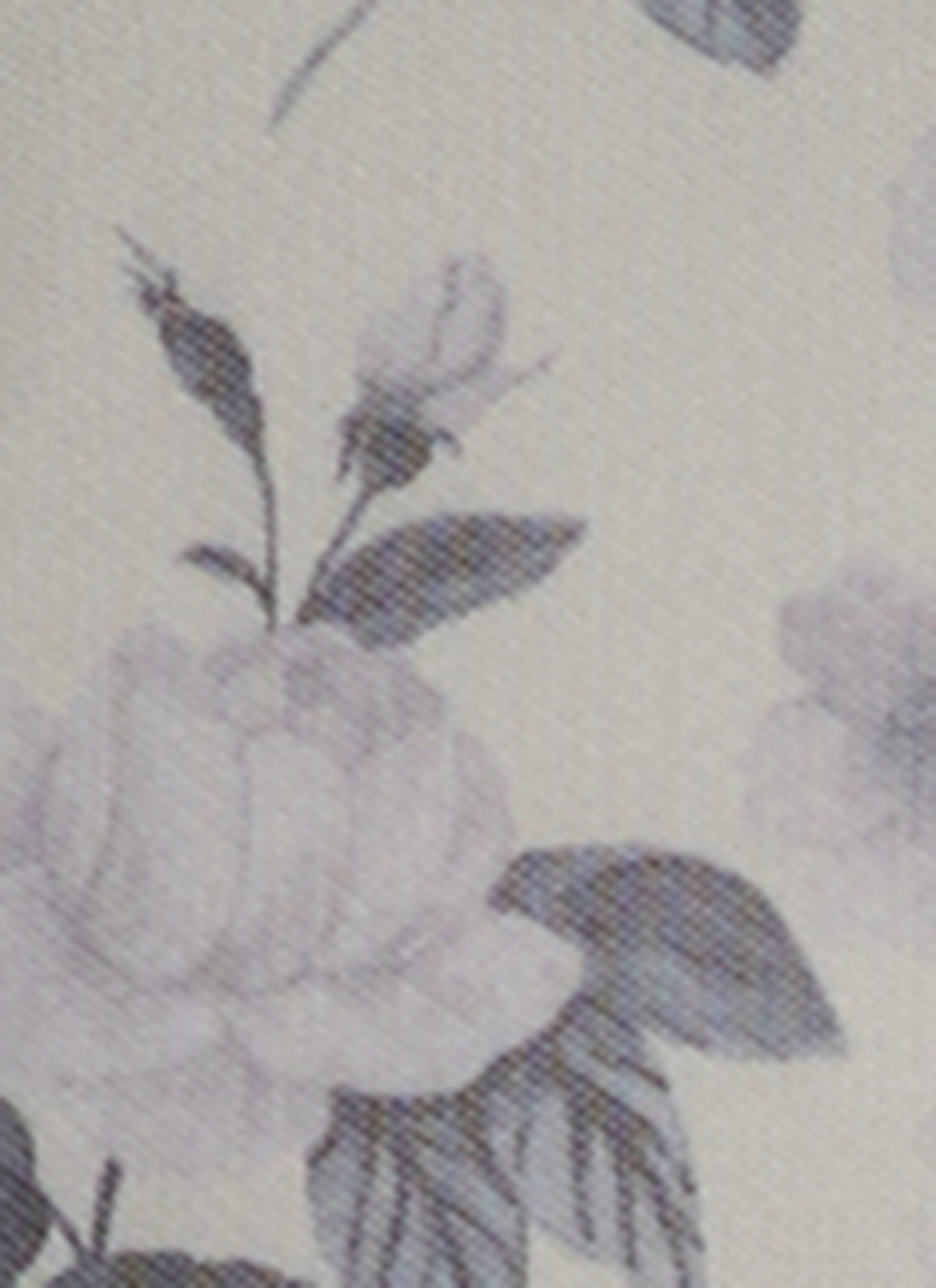 Plus Size Mesh Printed Long Sleeve Corset Top sold by Rainbow product image thumbnail 3