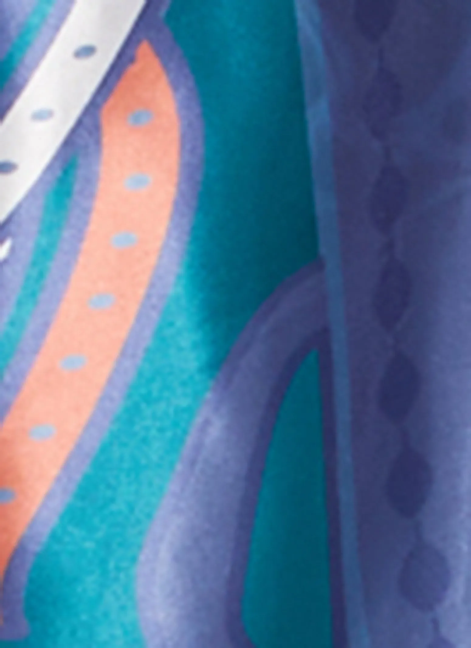 Satin Border Printed Wide Leg Pants sold by Rainbow product image thumbnail 4