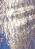 Daisy Foil Screen Wide Leg Cargo Jeans sold by Rainbow