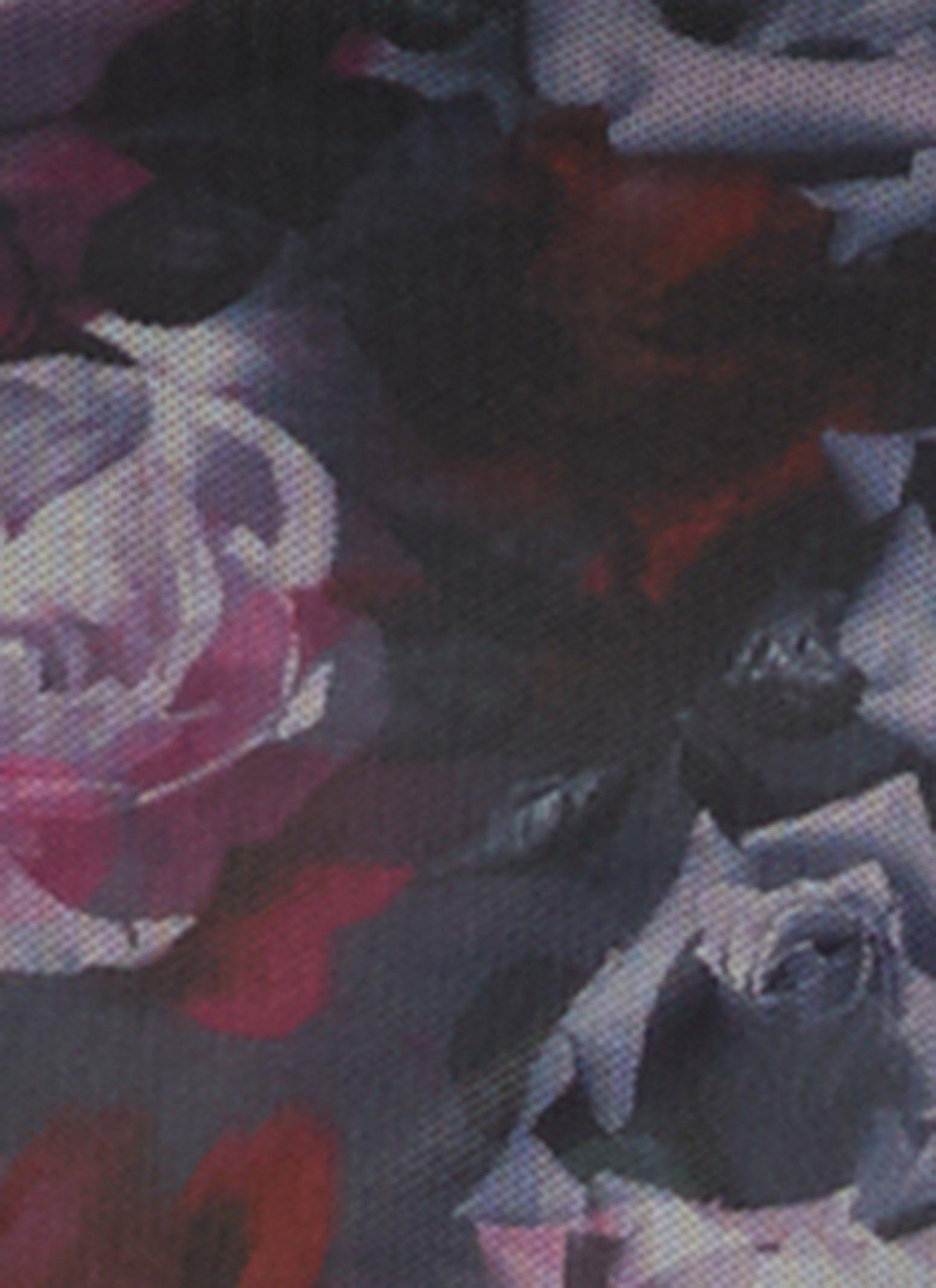 Plus Size Mesh Printed Long Sleeve Corset Top sold by Rainbow product image thumbnail 3