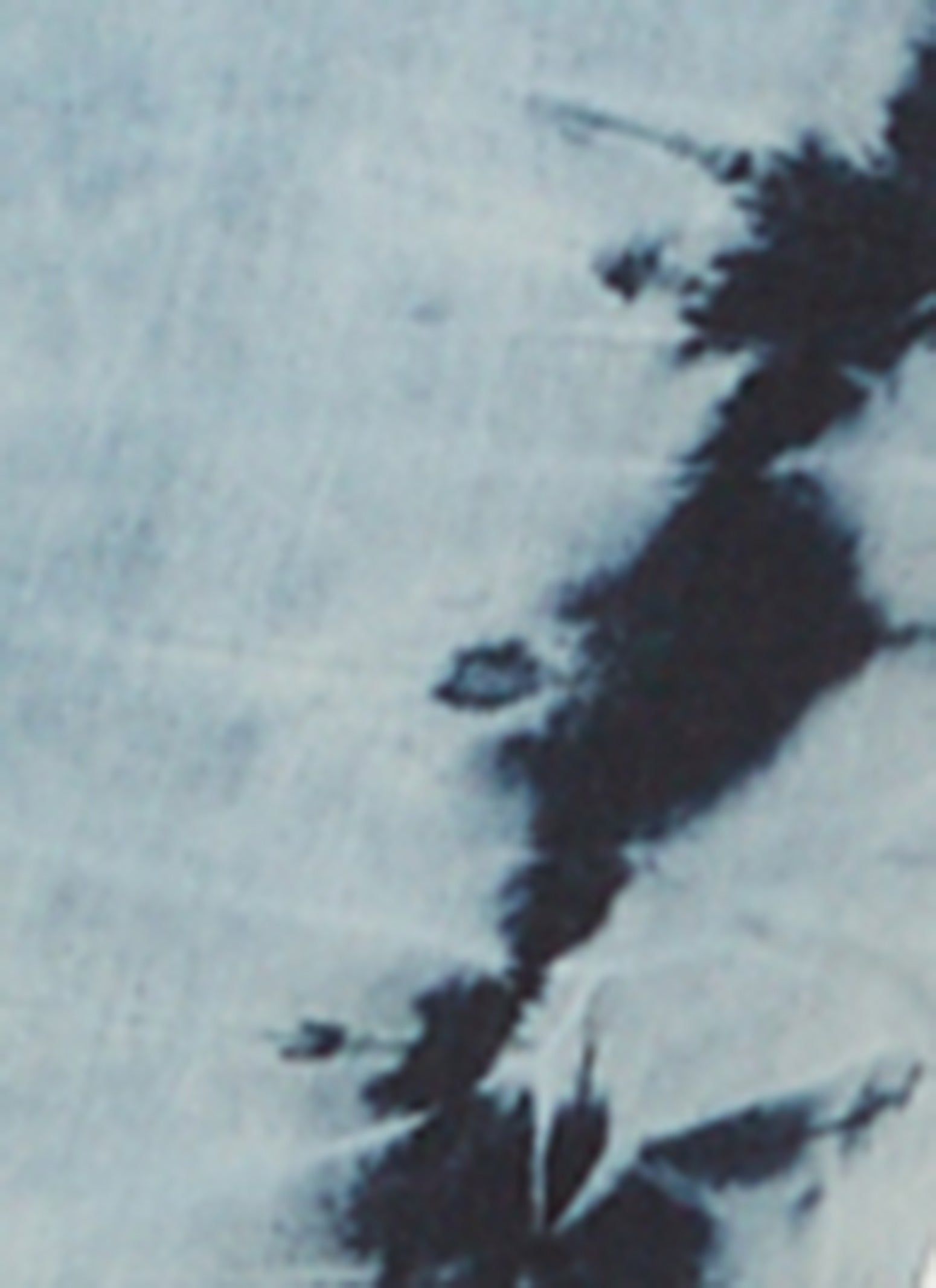 Plus Size VIP Denim Tie Dye Side Button Jumpsuit sold by Rainbow product image thumbnail 3