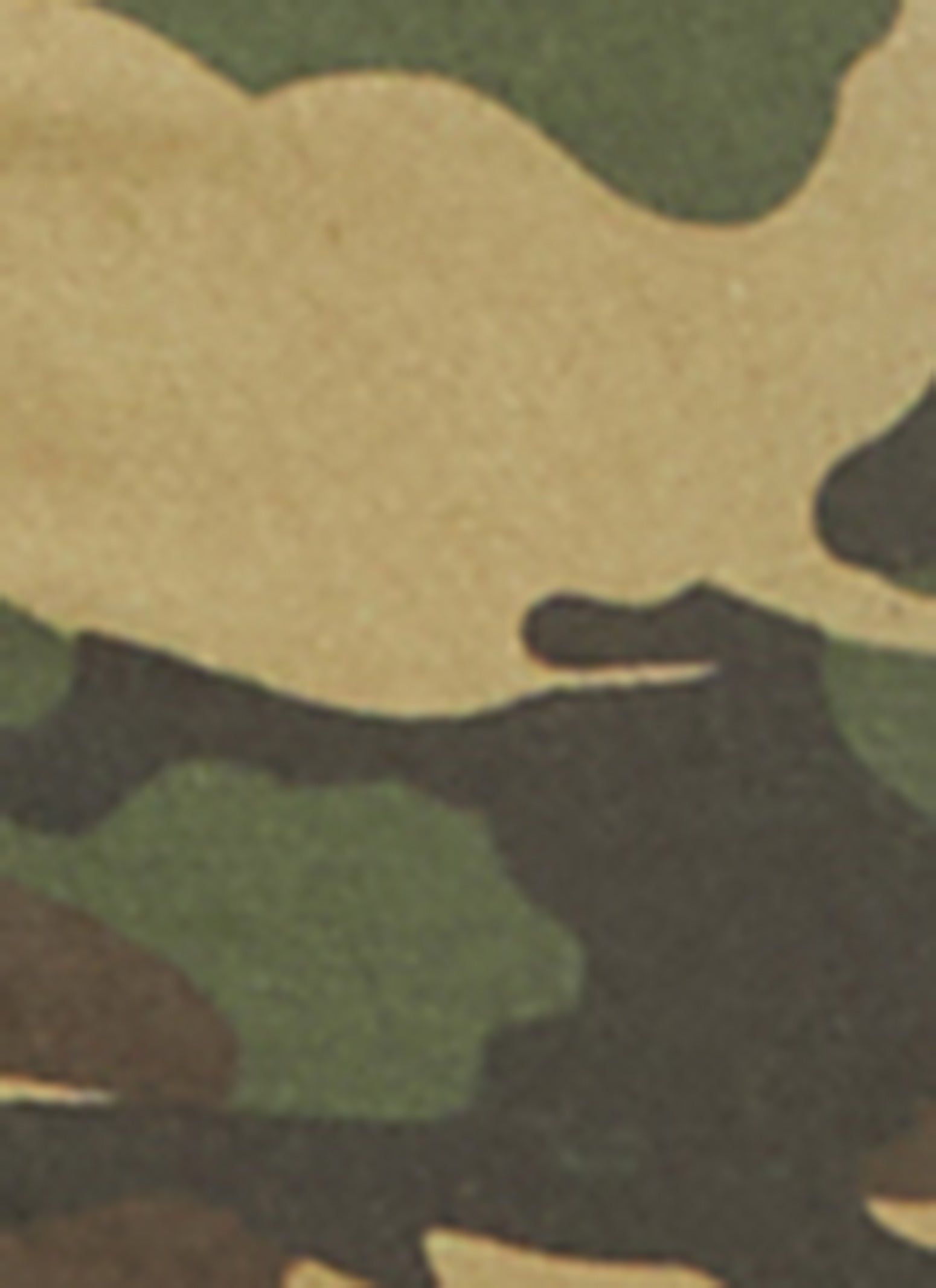 Camo Cargo Joggers sold by Rainbow product image thumbnail 4