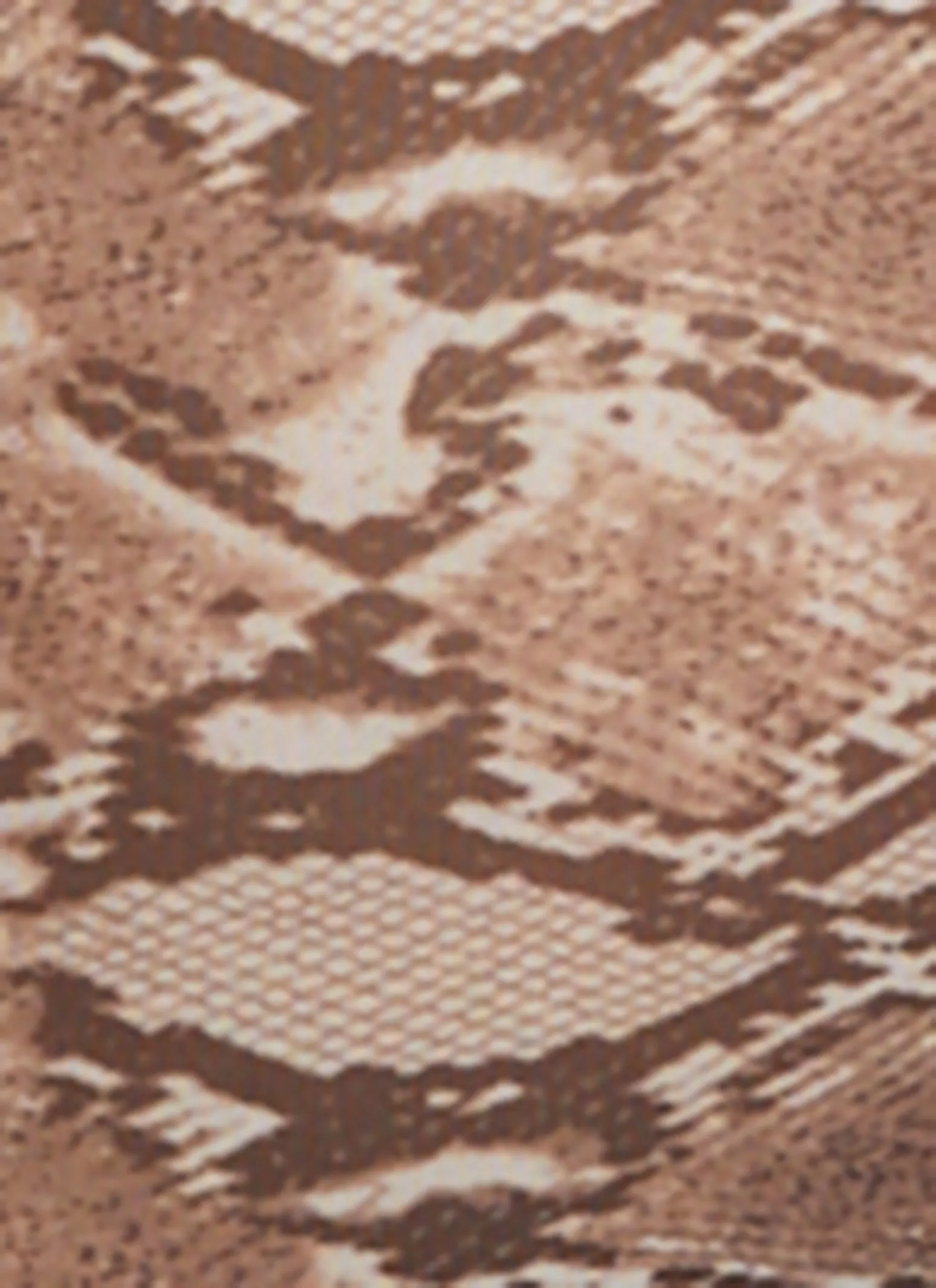 Snakeskin Print Mesh Long Sleeve Dress sold by Rainbow product image thumbnail 4