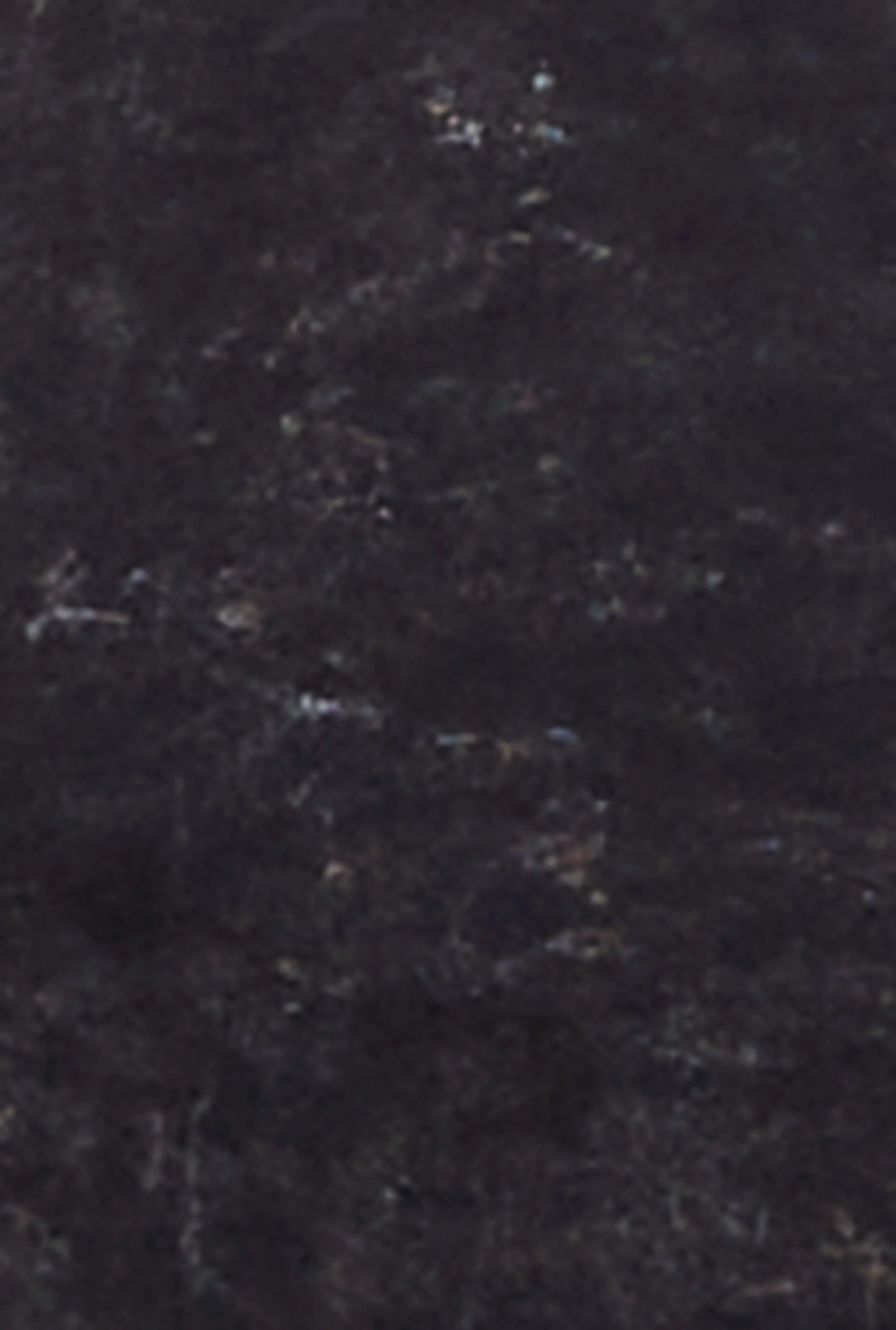 Plus Size Acid Wash California Bear Graphic Tee sold by Rainbow product image thumbnail 4