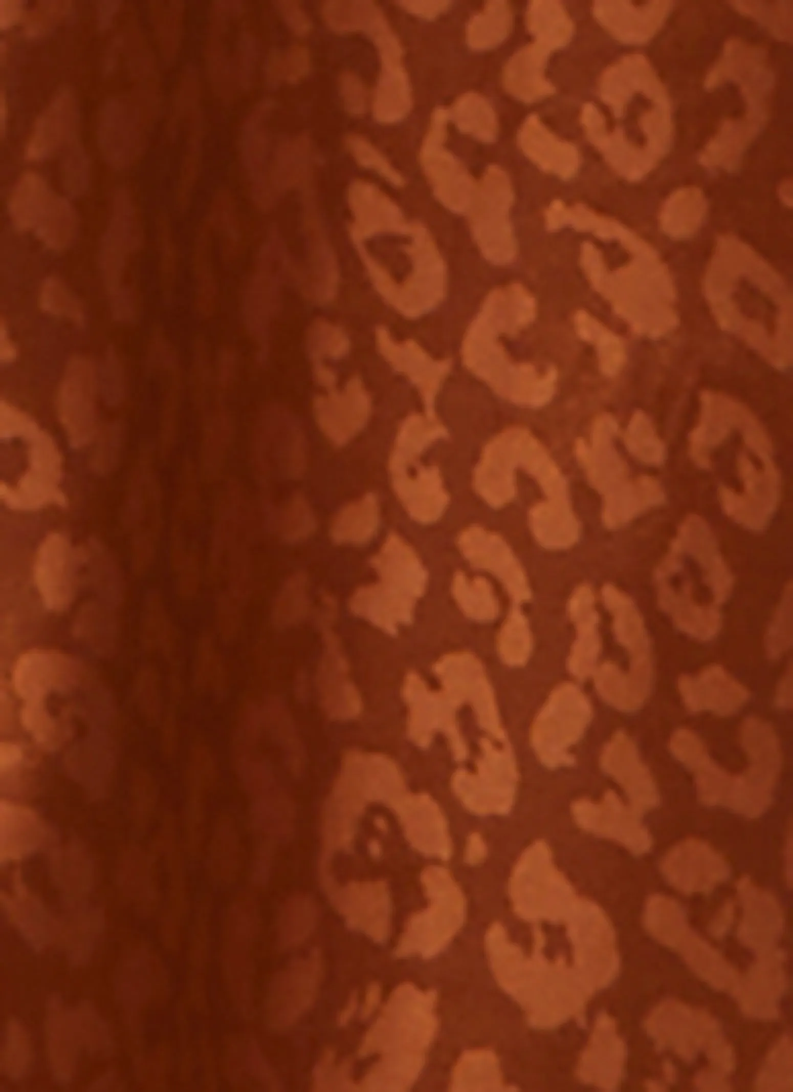 Plus Size Satin Animal Print Nightgown with Robe sold by Rainbow product image thumbnail 4