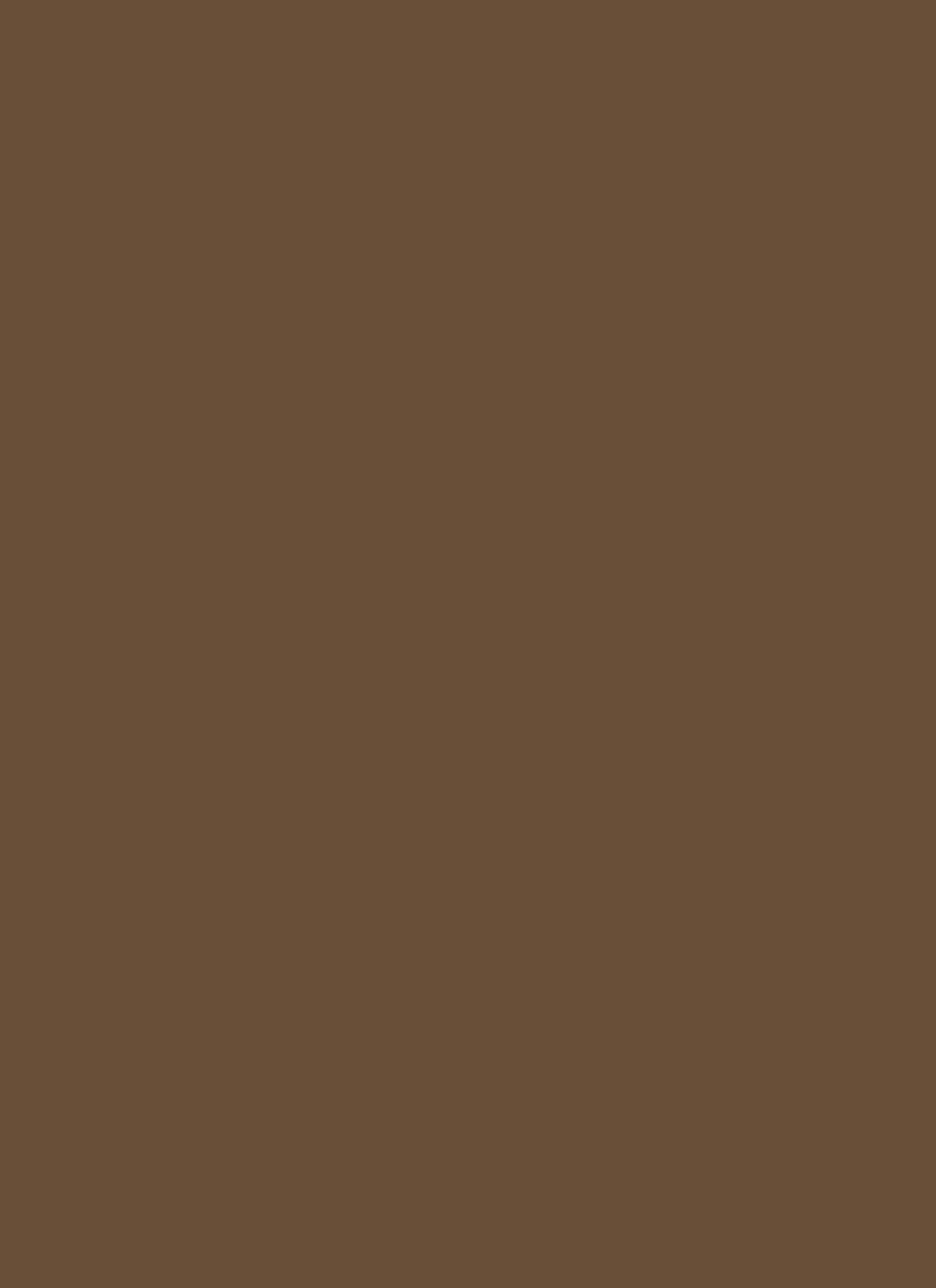 Tinted Eyebrow Gel sold by Rainbow product image thumbnail 4