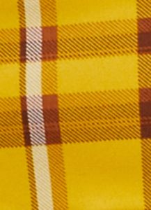 Plus Size High Waist Plaid Pleated Skirt sold by Rainbow