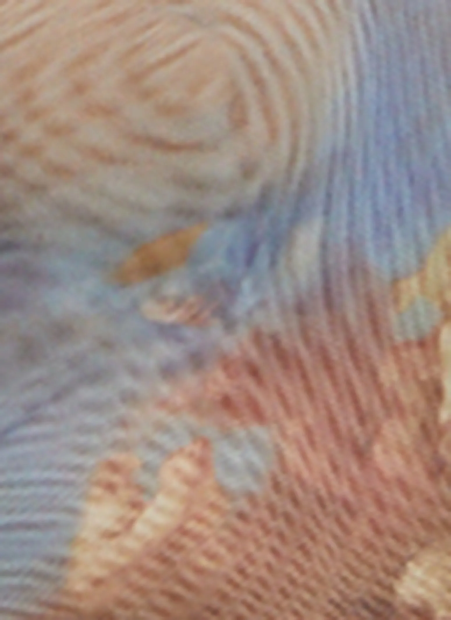 Printed Mesh One Shoulder Midi Dress sold by Rainbow product image thumbnail 4