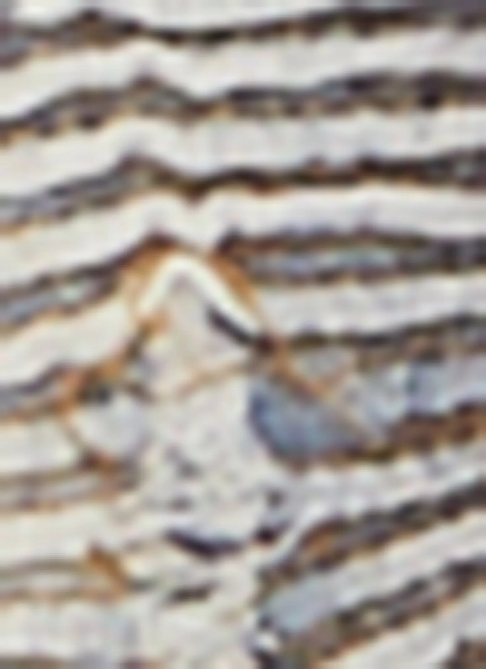 Mens Acid Wash Distressed Moto Skinny Jeans sold by Rainbow product image thumbnail 4