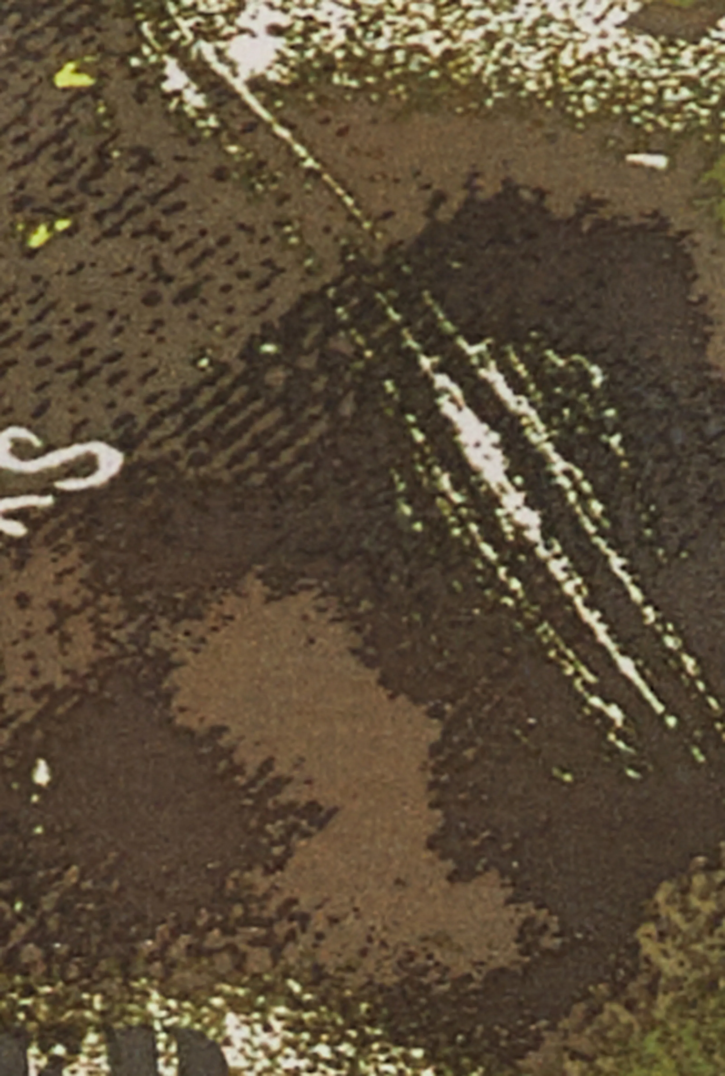 Printed Crew Neck Short Sleeve Top sold by Rainbow product image thumbnail 4