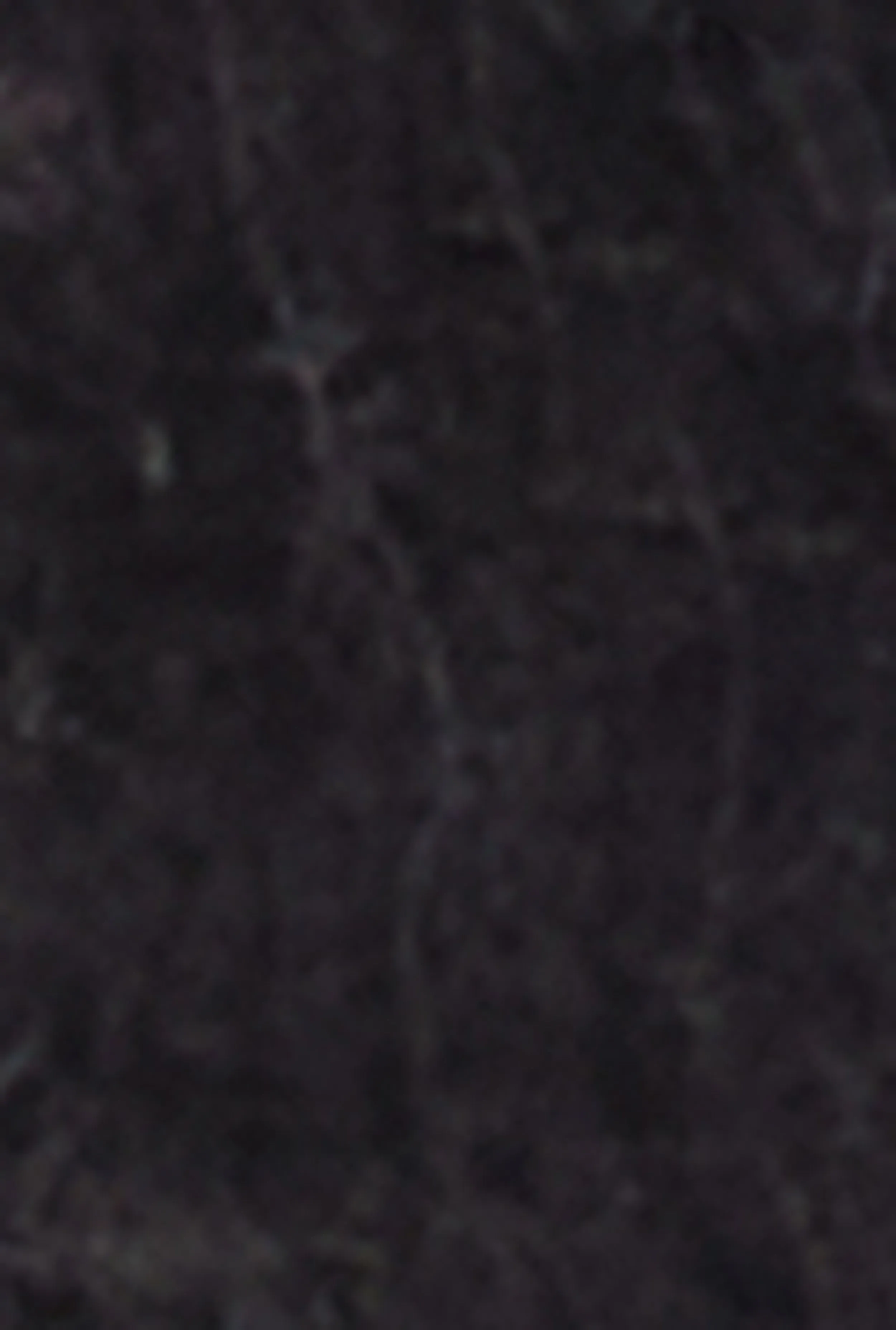 Plus Size Simply Blessed Graphic Tee sold by Rainbow product image thumbnail 4