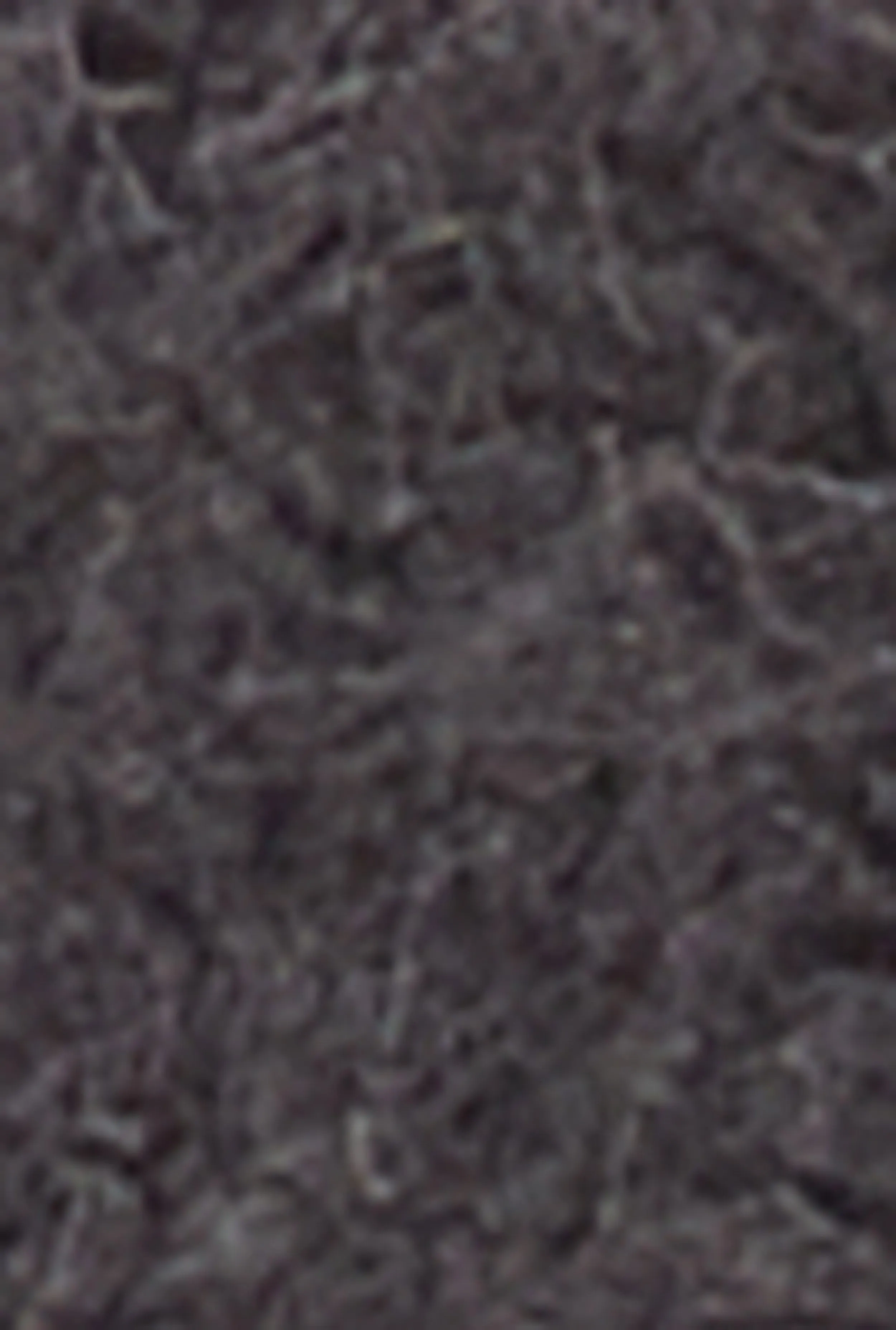 Plus Size Top Speed Riders Long Sleeve Graphic Tee sold by Rainbow product image thumbnail 4