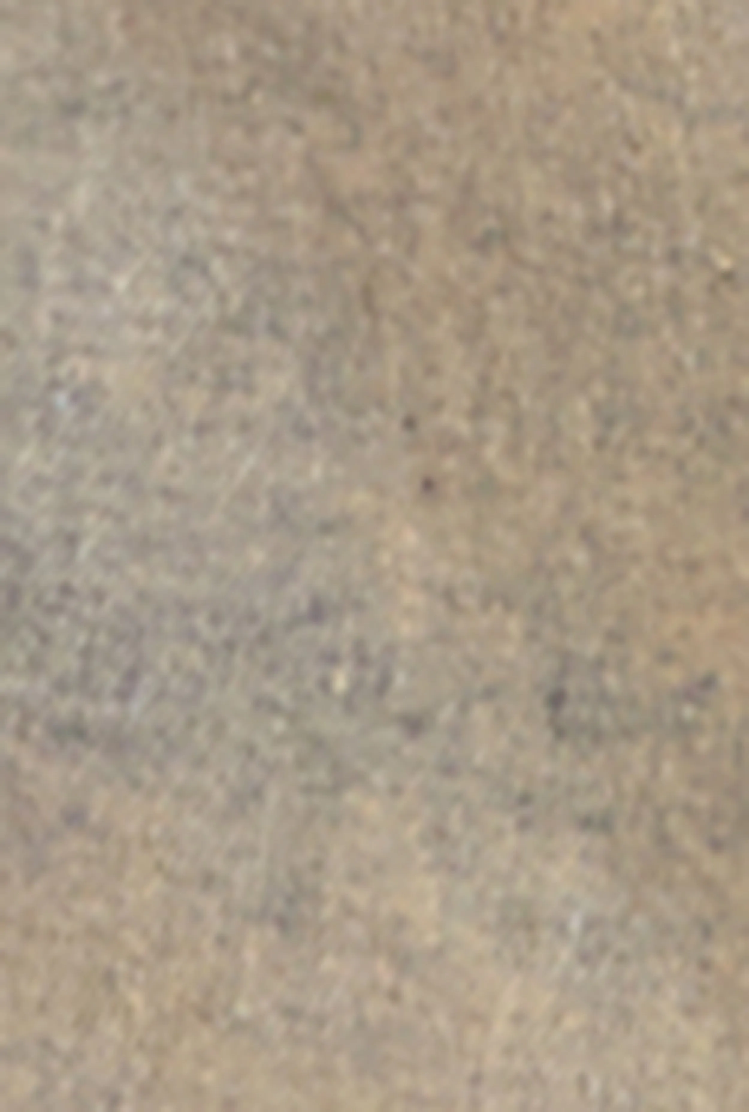 Plus Size Light Wash Longline Jean Jacket sold by Rainbow product image thumbnail 4