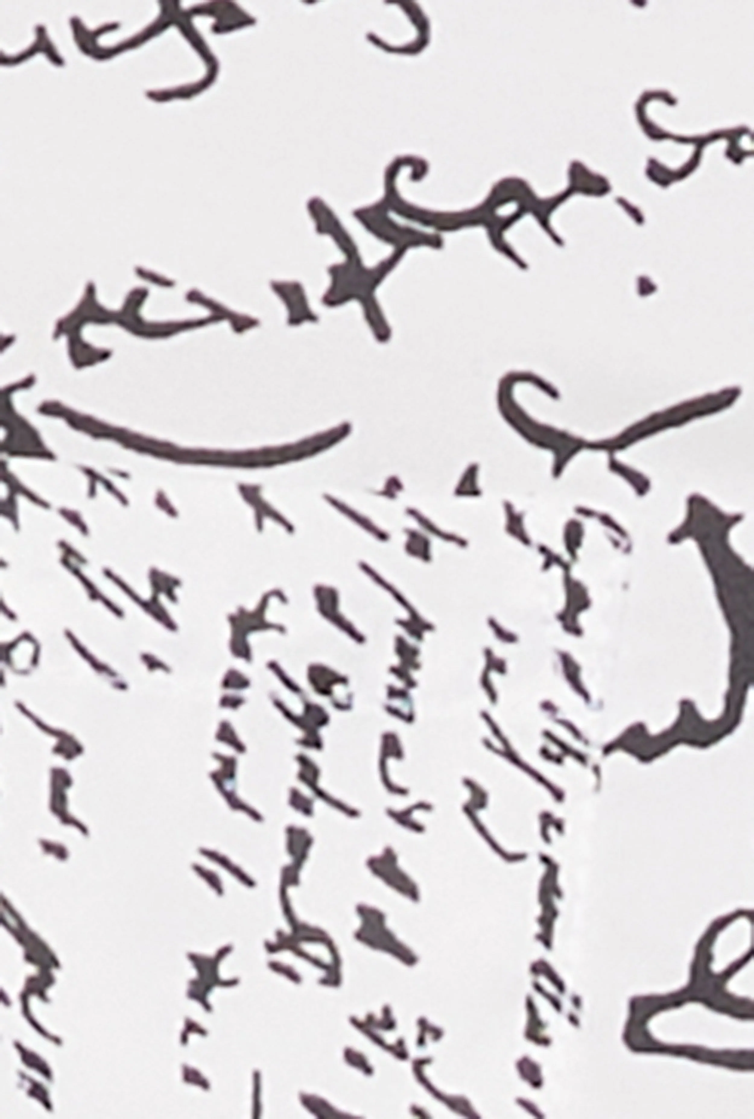 Printed Flap Pocket Cropped Button Front Shirt sold by Rainbow product image thumbnail 4