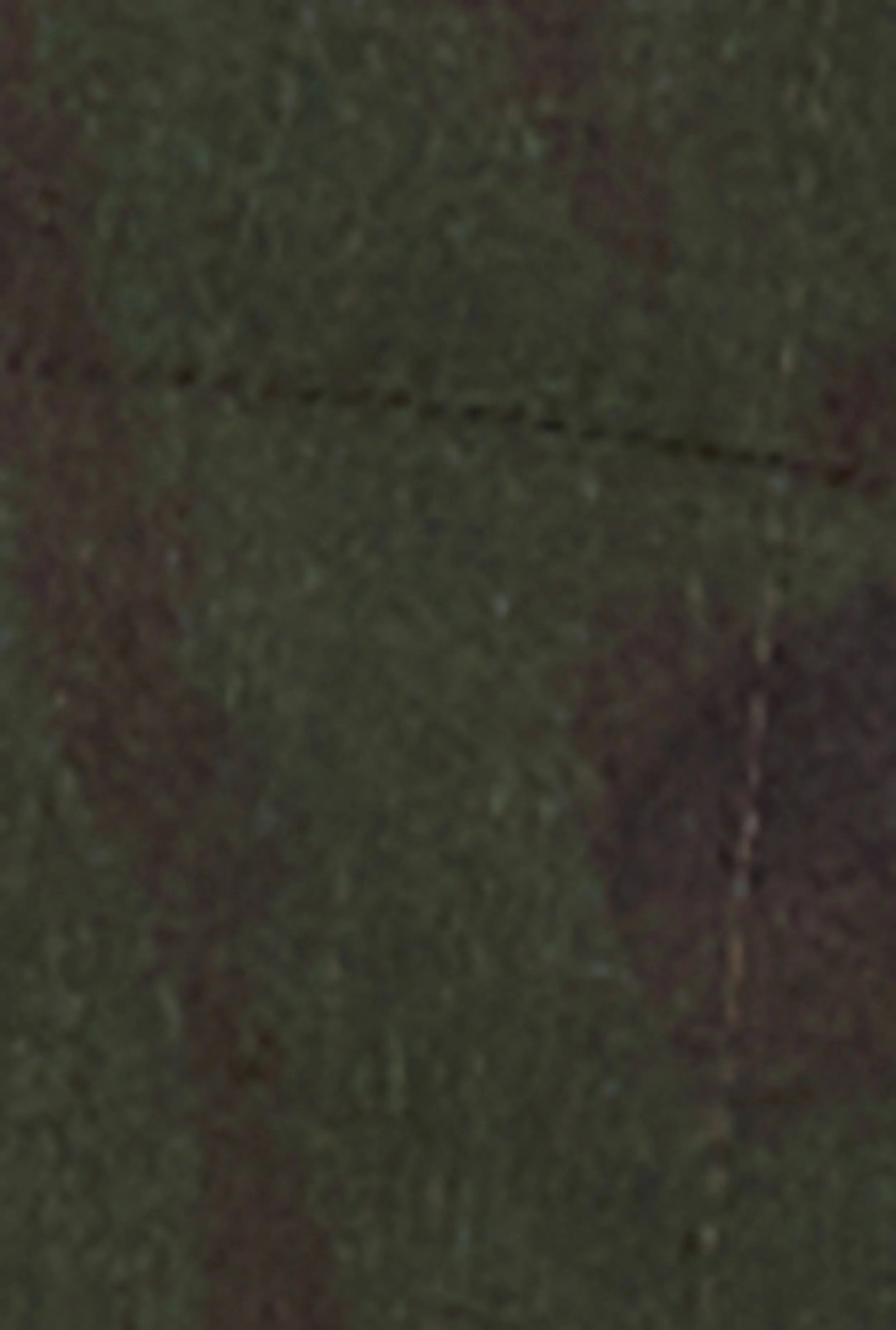 Camo Zip Front Cropped Vest sold by Rainbow product image thumbnail 4