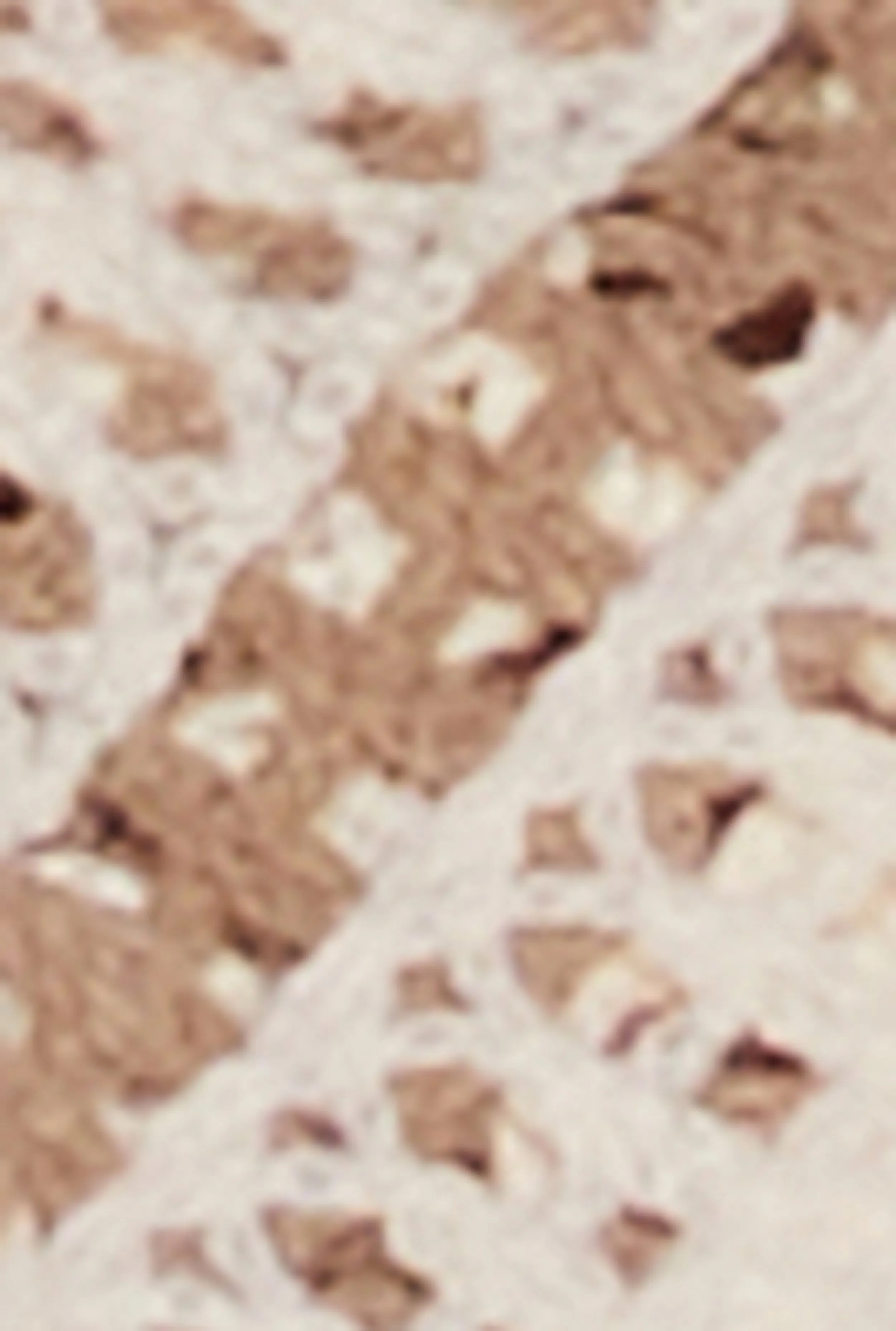 Floral Crochet Button Front Top sold by Rainbow product image thumbnail 4