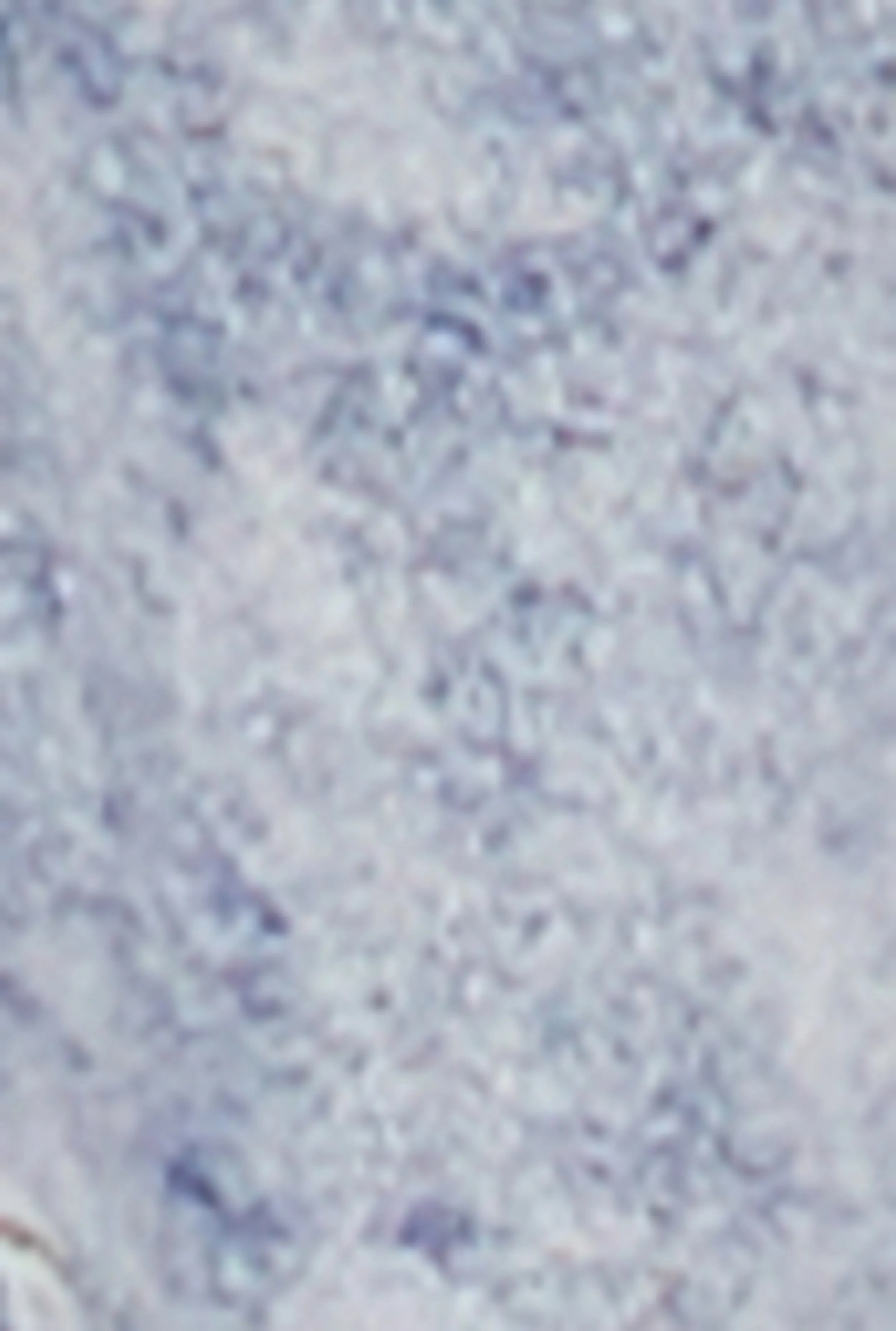 Daisy Acid Wash Cropped Jean Jacket sold by Rainbow product image thumbnail 4