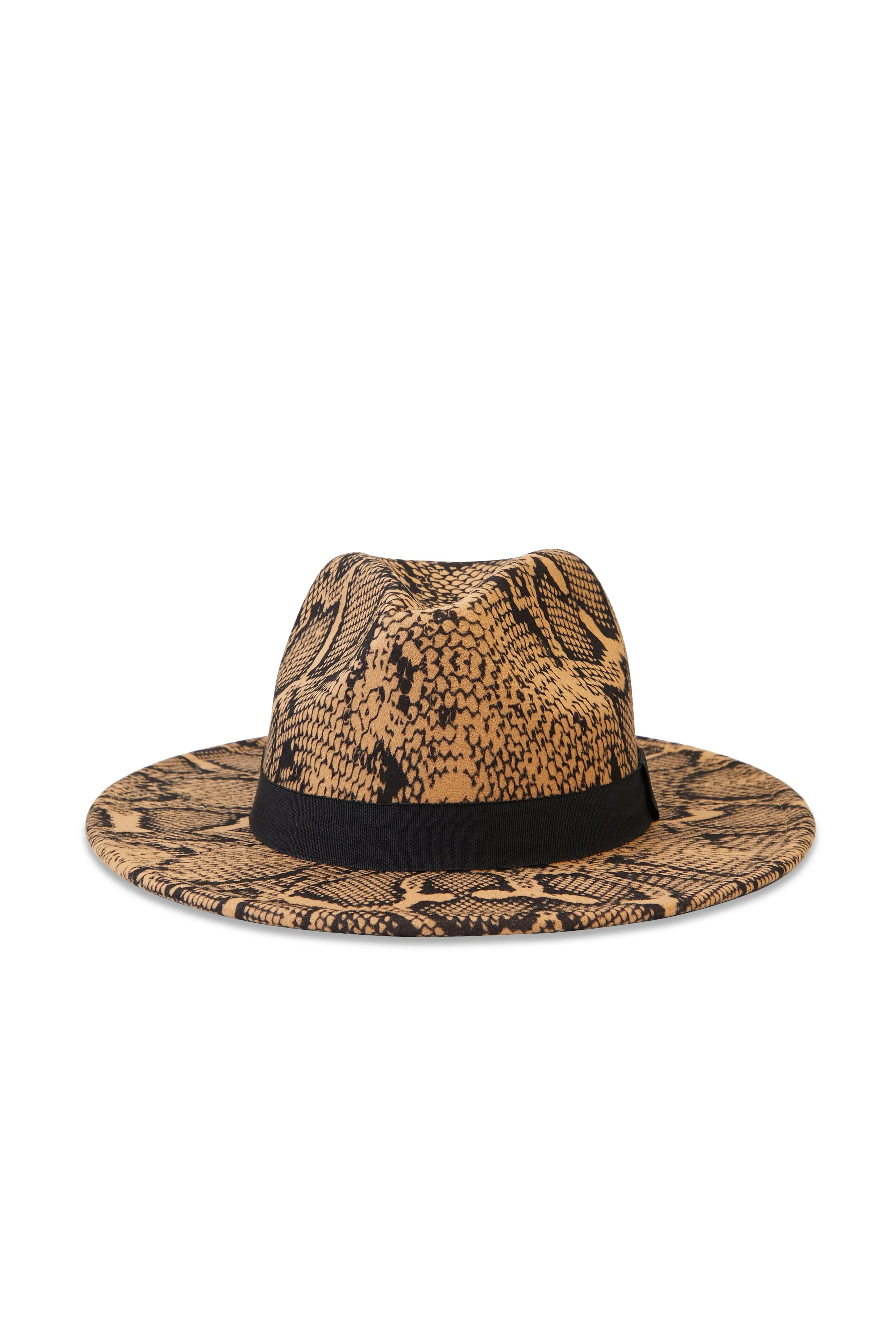 Snake Print Fedora sold by Rainbow product image thumbnail 2