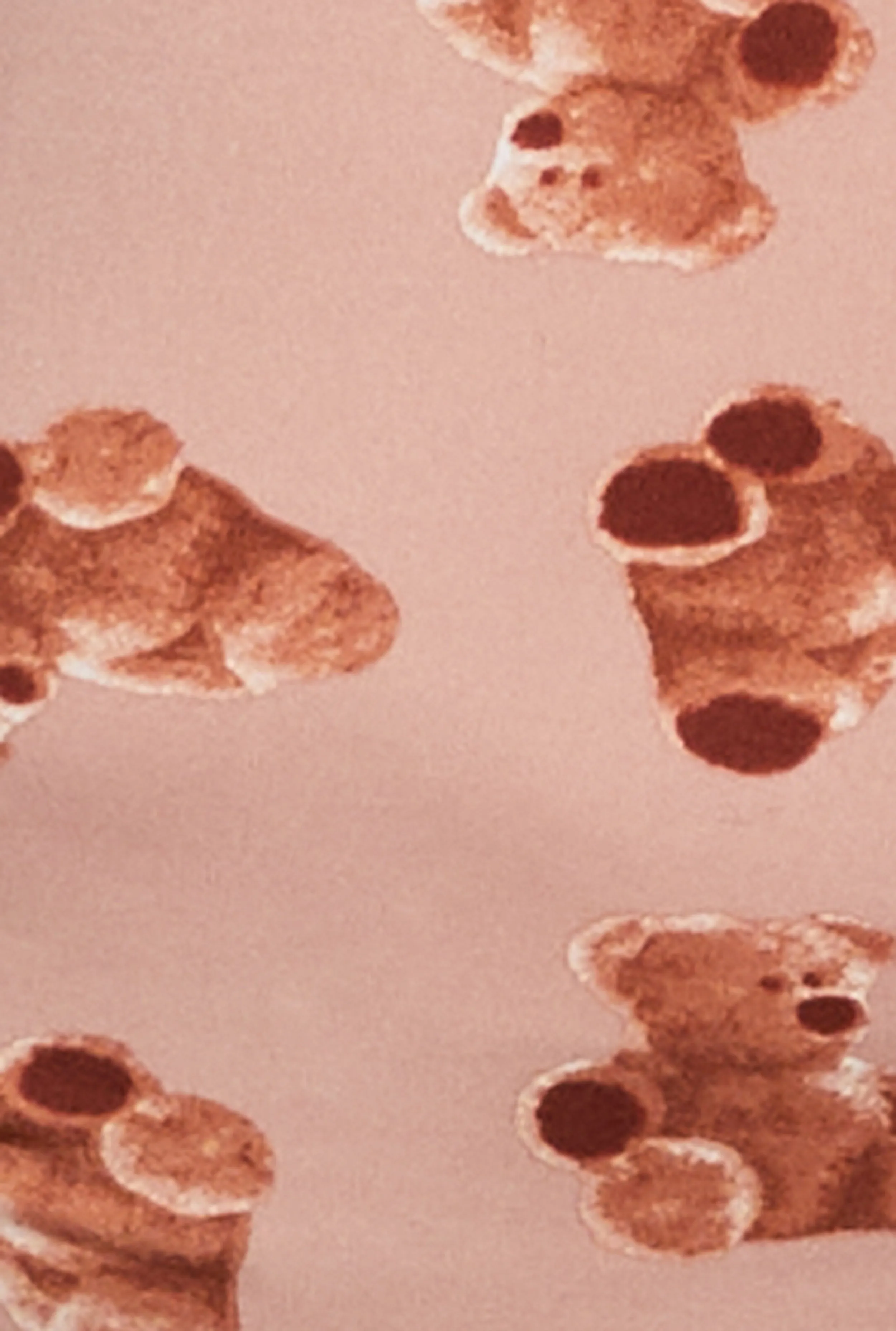 Plus Size Bearly Awake Sleepshirt sold by Rainbow product image thumbnail 3