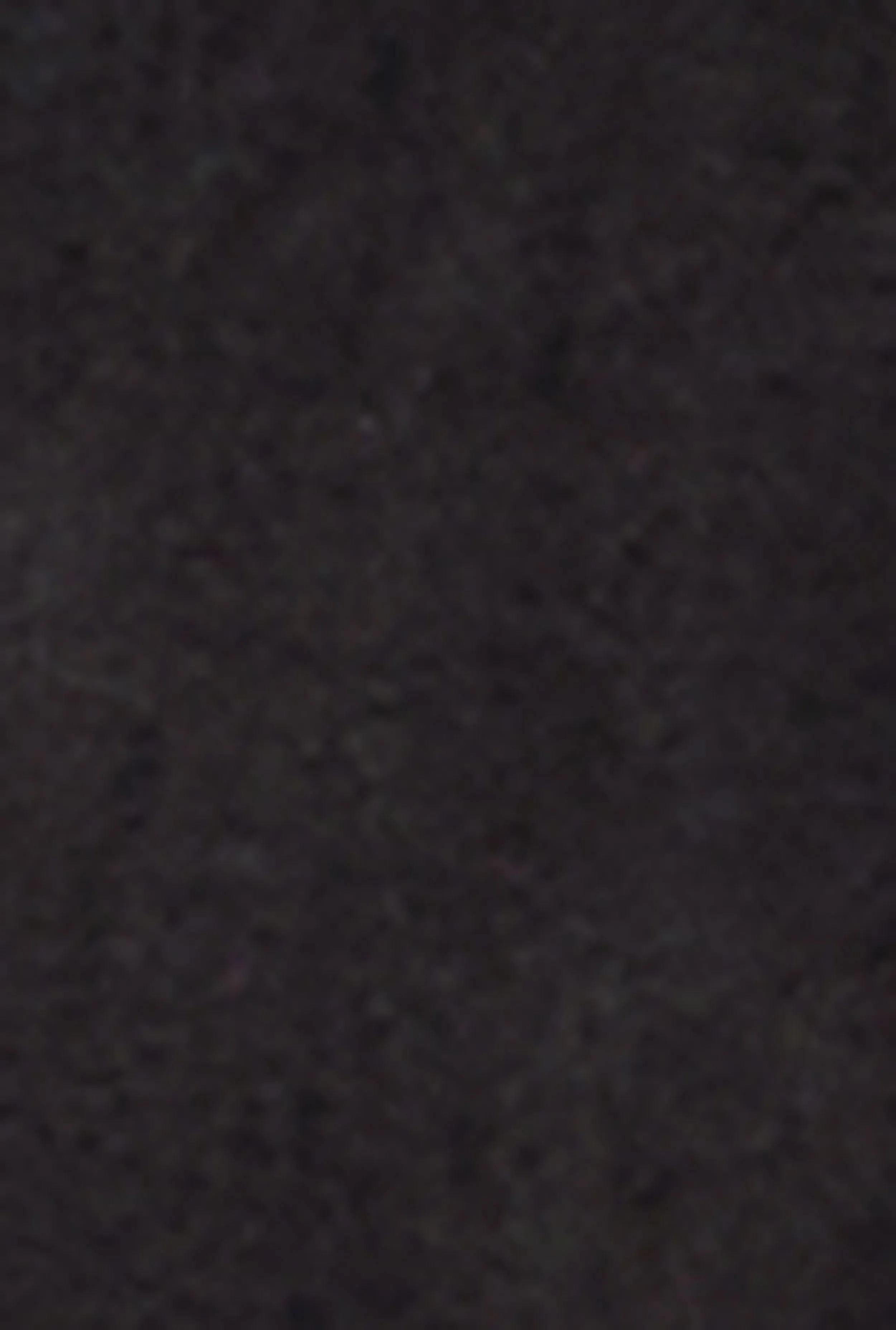 Ambiance Faux Suede Coat sold by Rainbow product image thumbnail 4