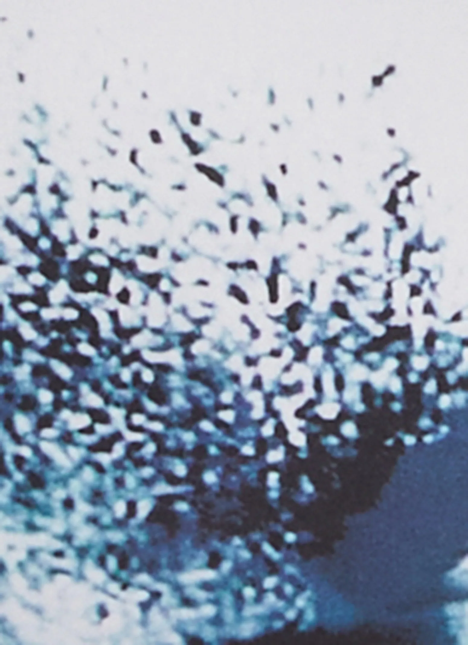 Plus Size Printed Tube Dress sold by Rainbow product image thumbnail 4