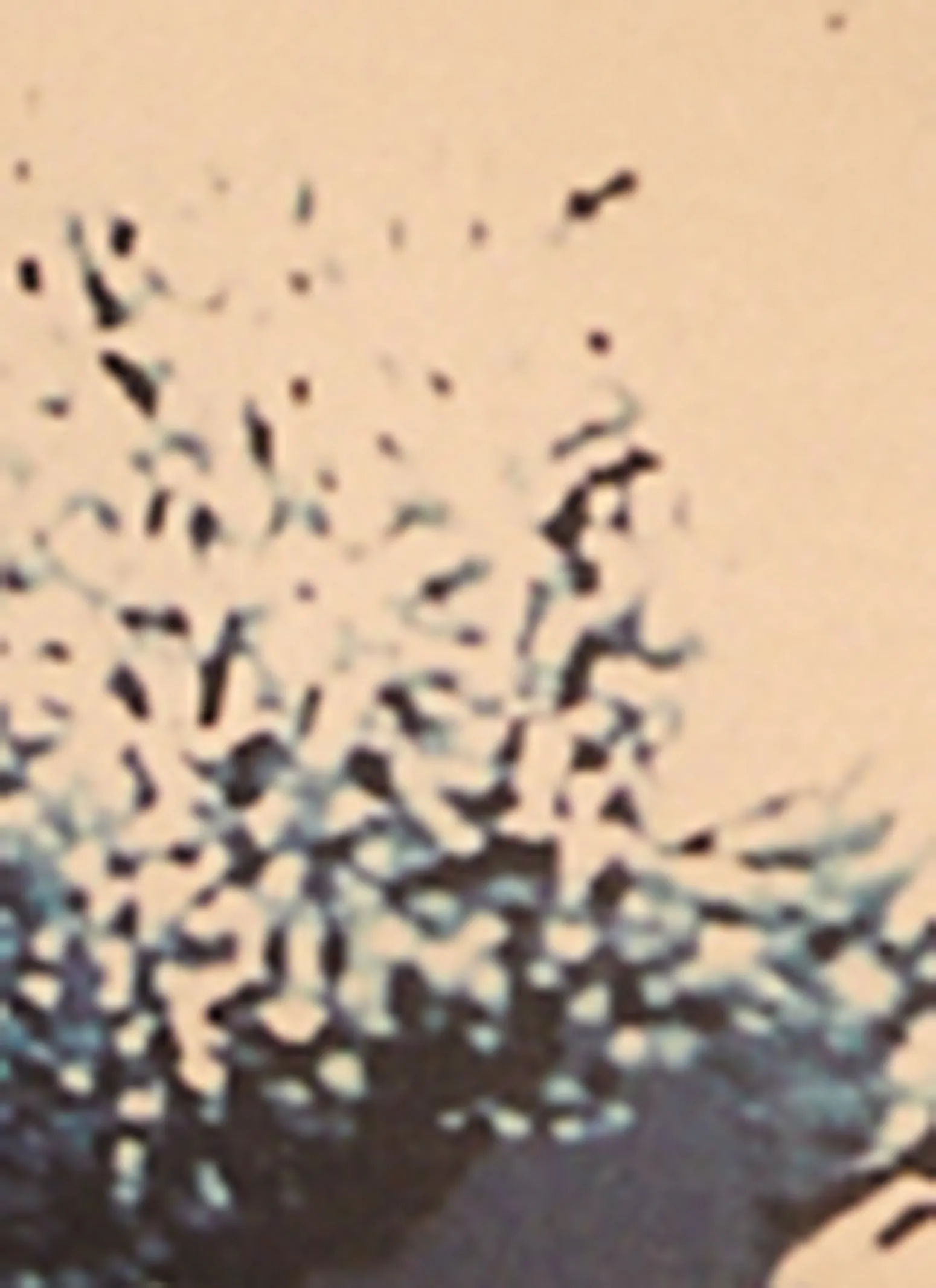 Body Print Strapless Dress sold by Rainbow product image thumbnail 4