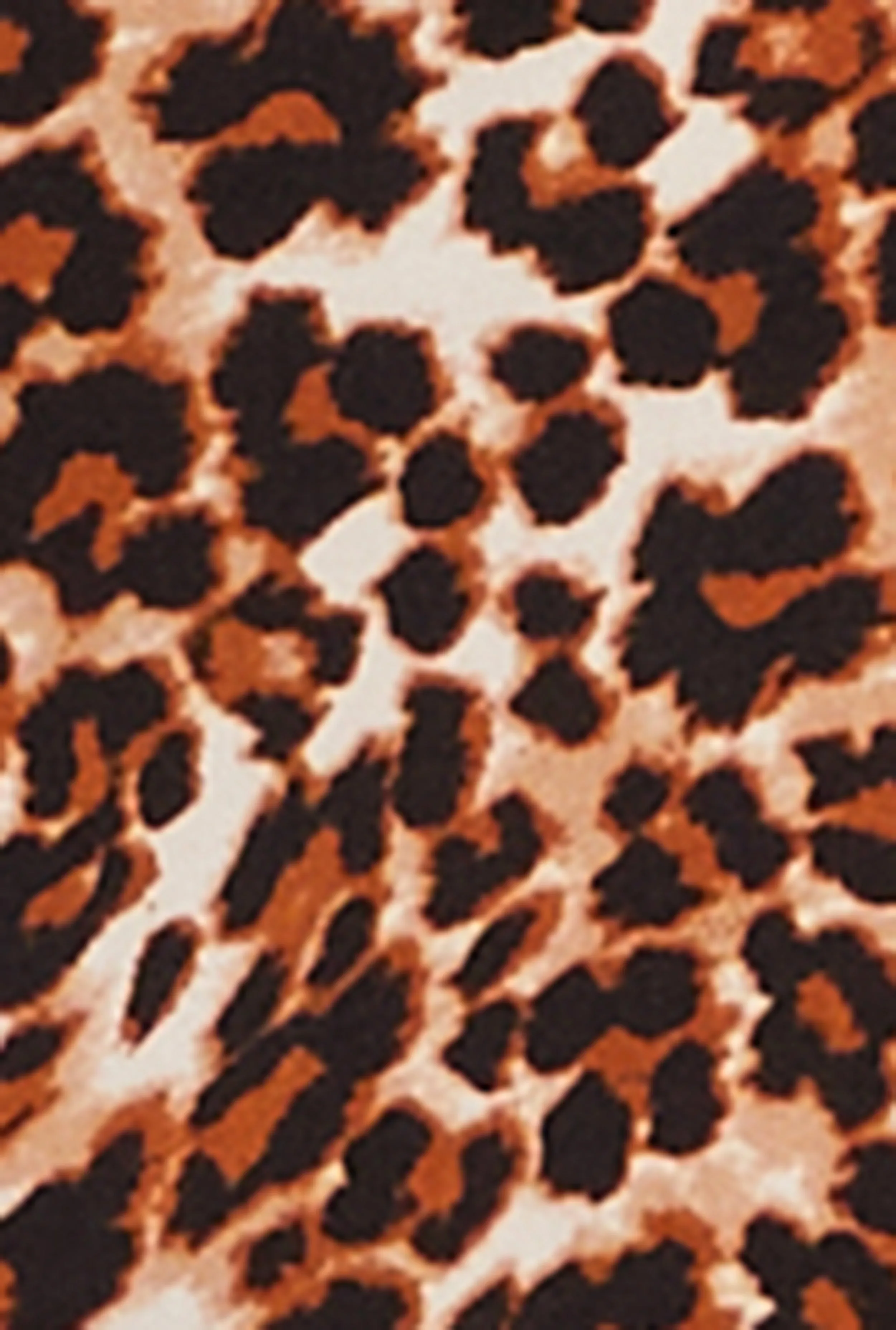Leopard Print Cami Maxi Dress sold by Rainbow product image thumbnail 4
