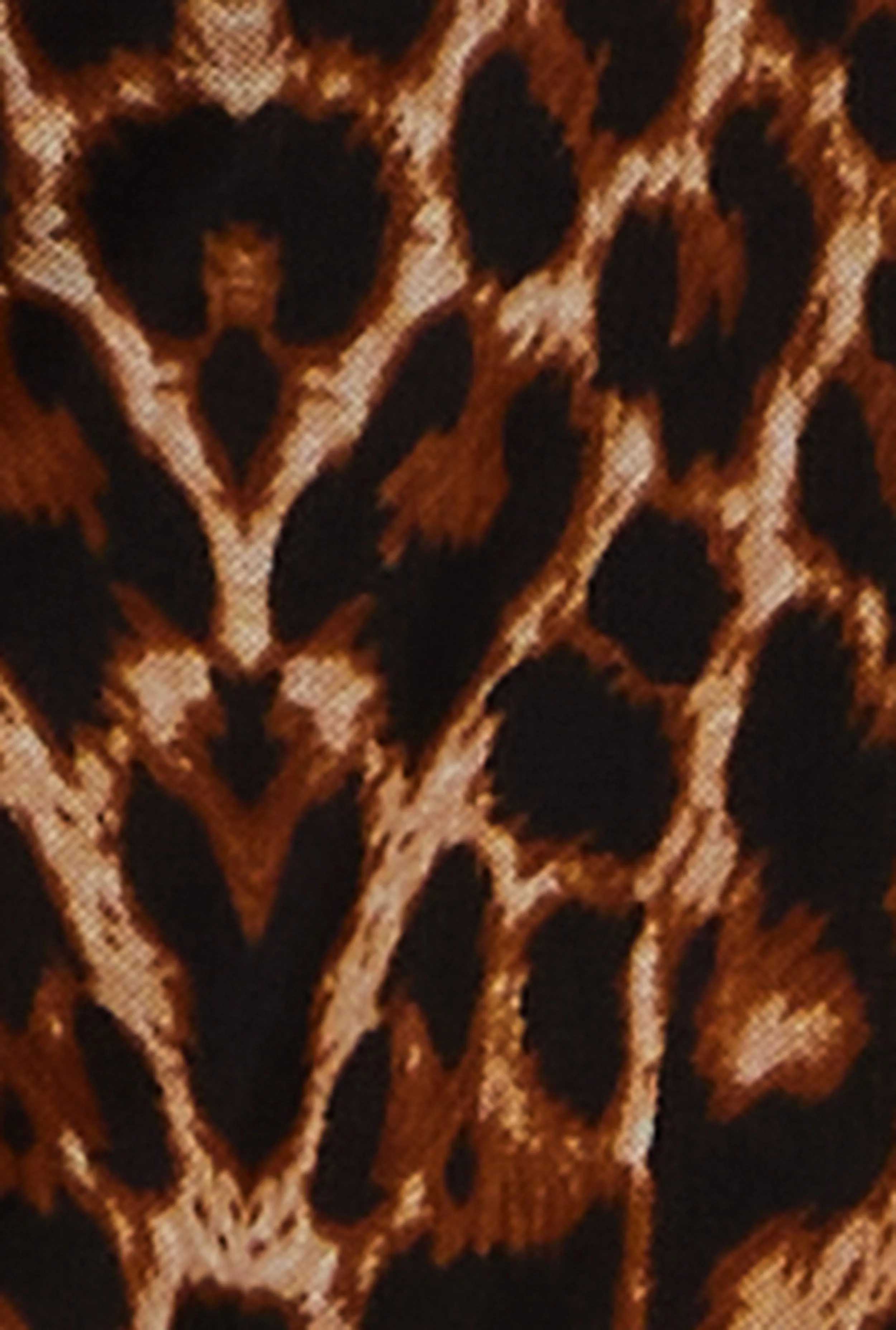 Plus Size Slashed Leopard Print Mesh Top sold by Rainbow product image thumbnail 4